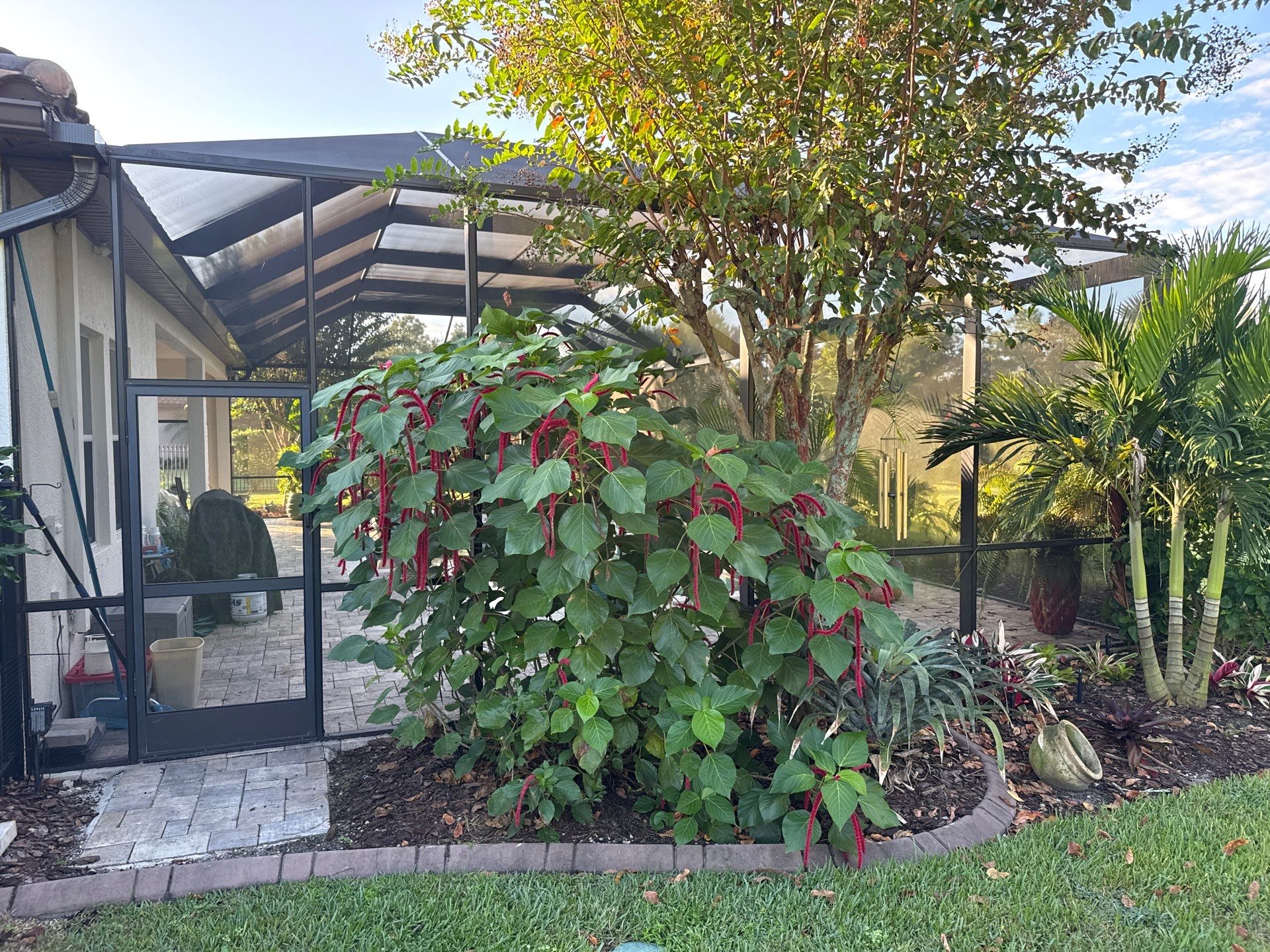 Pool Cage Cleaning | Rye Wilderness, Bradenton FL by Sunshine AquaWash