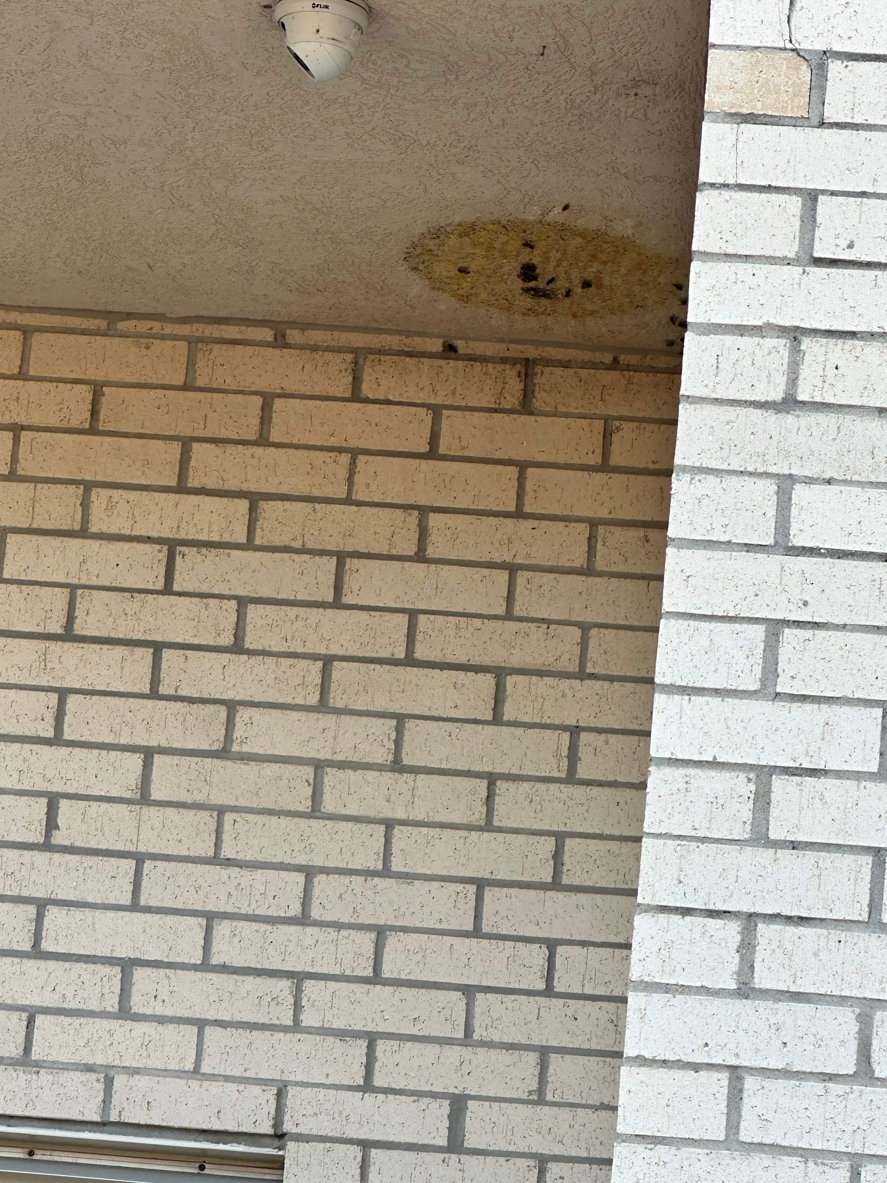 Business Center Entry by Rockwall Honey Bee Company