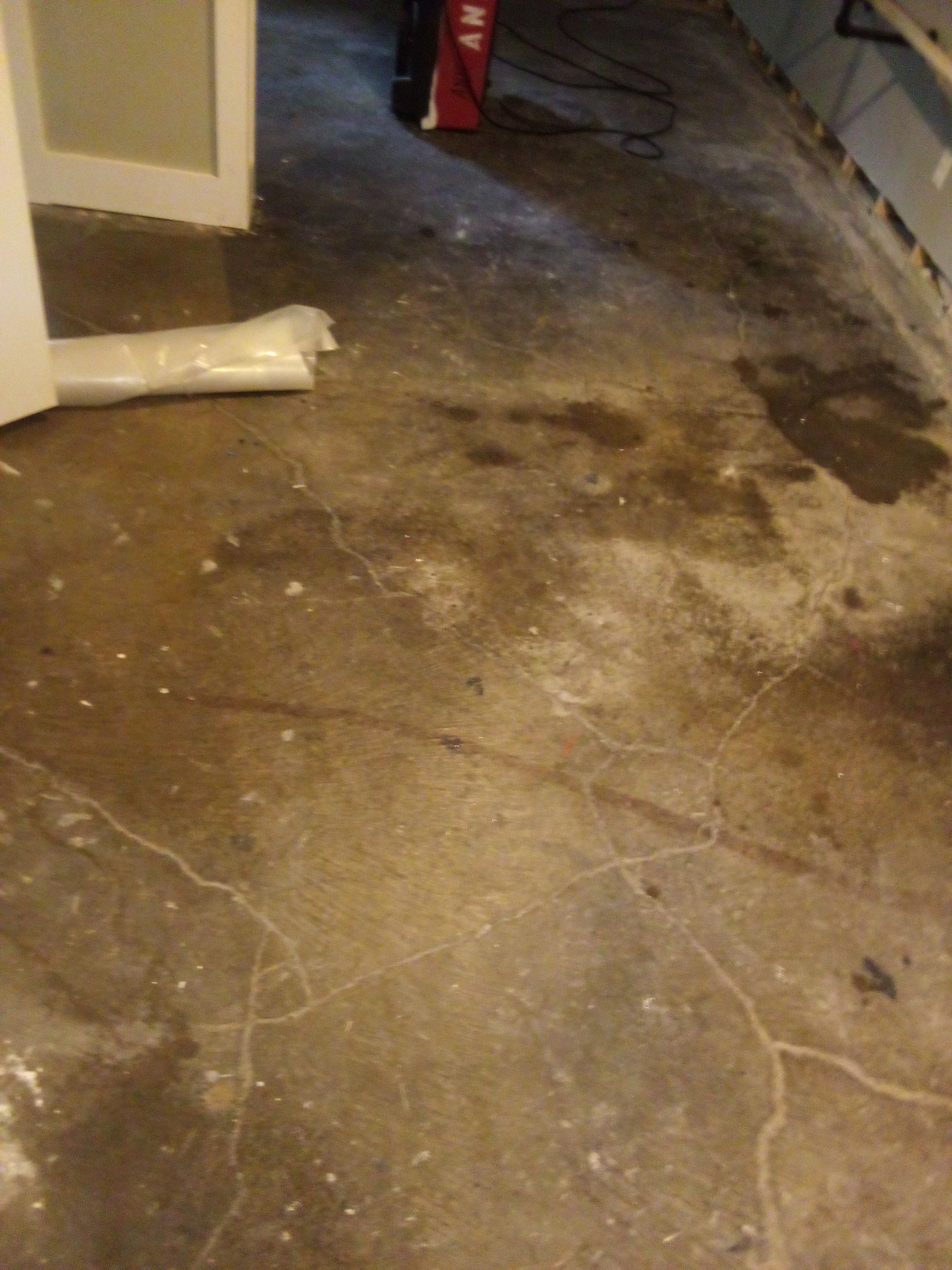 Mold Remediation in Shelbyville, KY by ANR Restoration