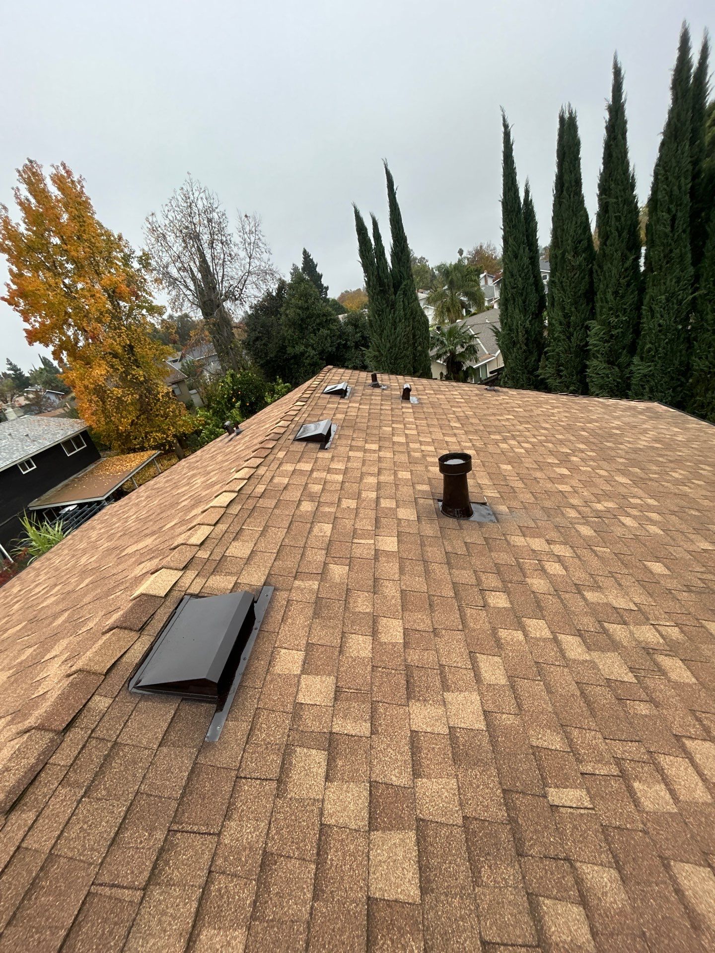 Roof Rejuvenation using Roof Maxx Treatment by Roof Maxx of Folsom