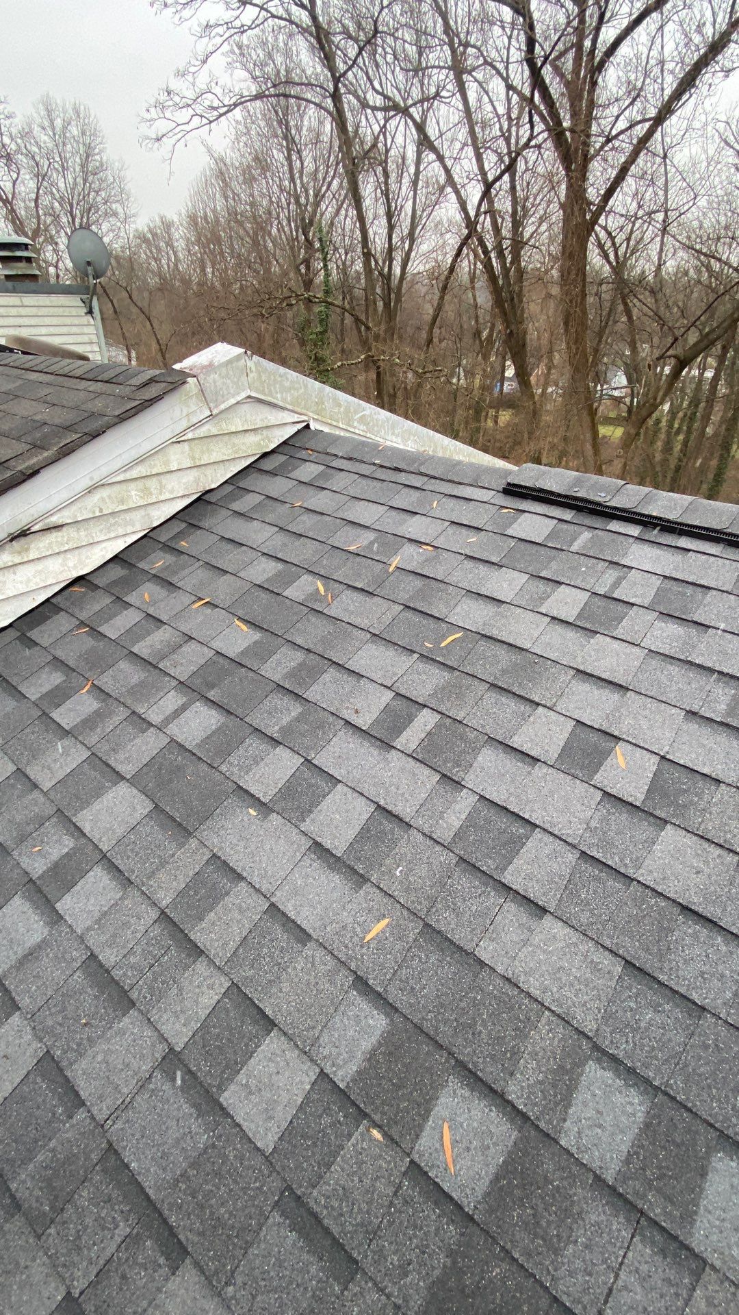 Falls Church: Residential Roof Replacement with CertainTeed Landmark Pro in Max Def Moire Black by RM Banning, Inc.