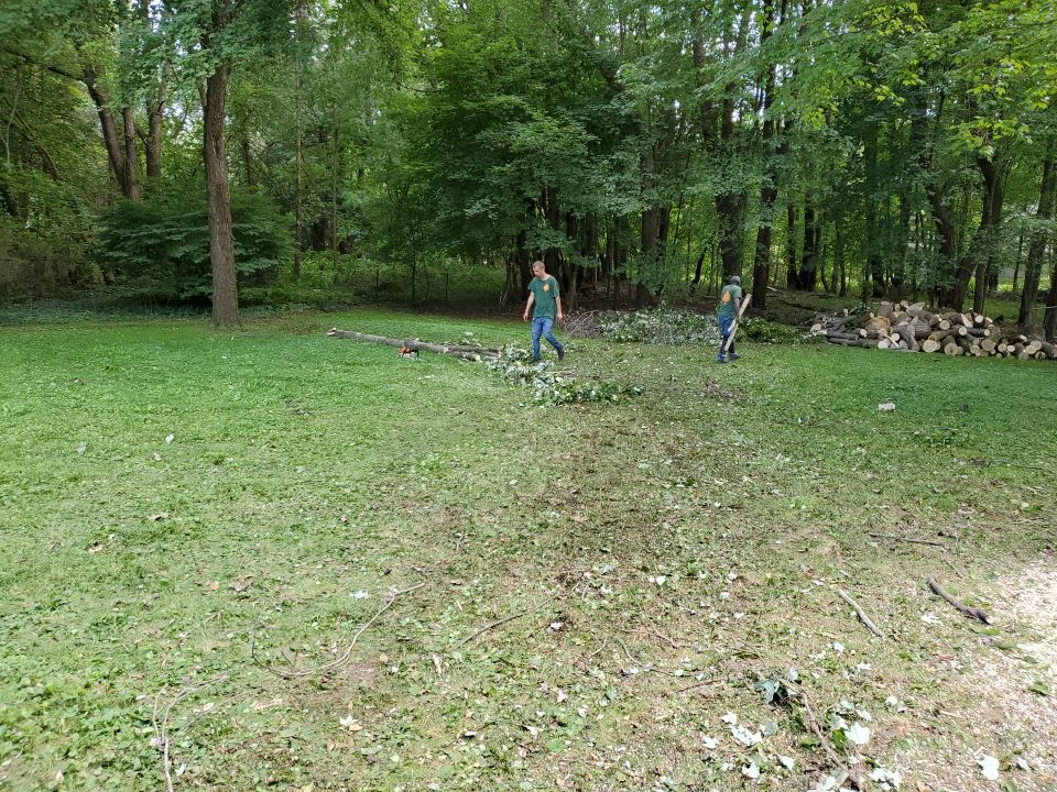 Storm Damaged Tree Removal  by Mike Jones & Sons Tree Service LLC 