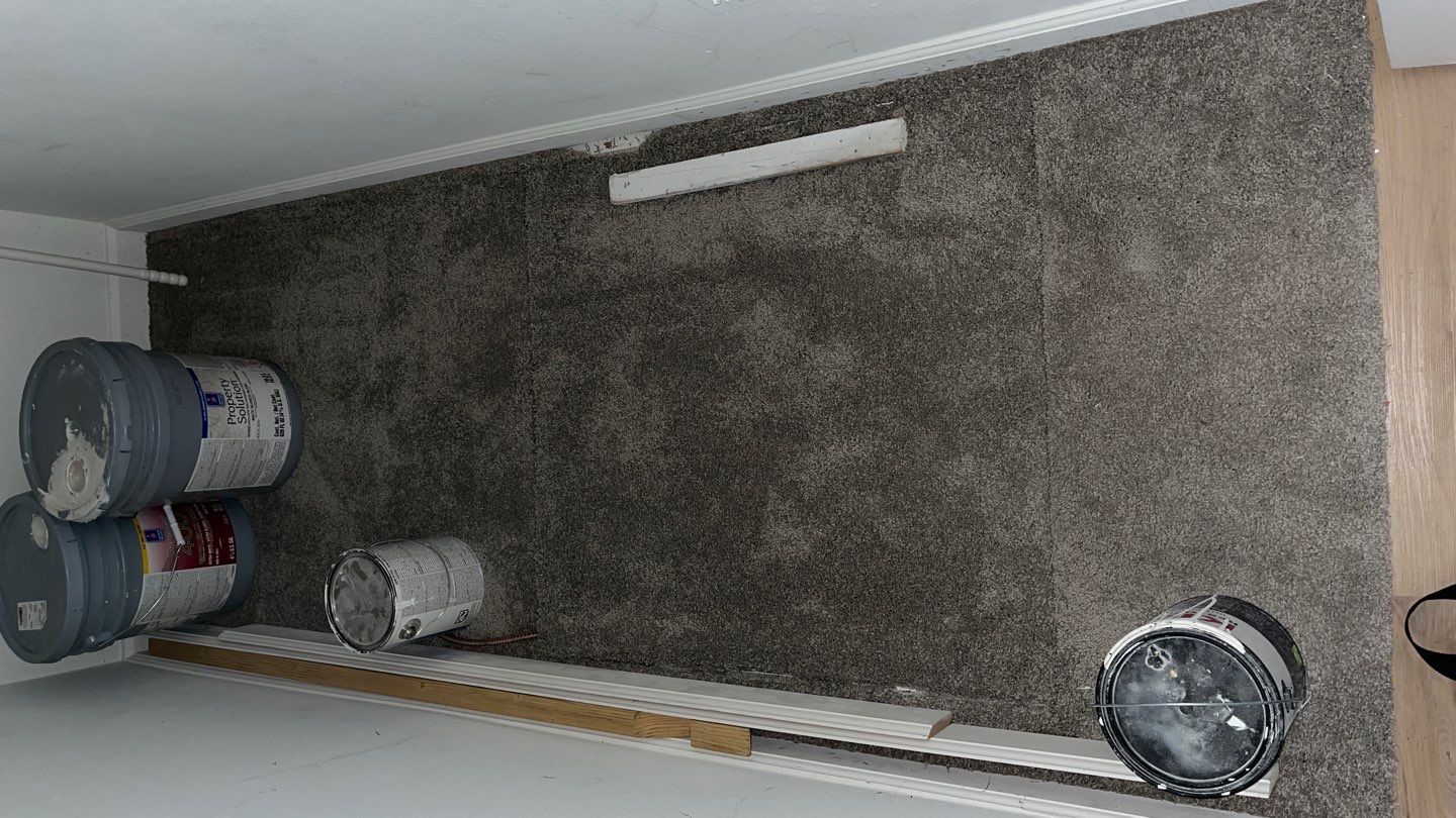 Mold Damage Project in Littleton by Accountable Home Services