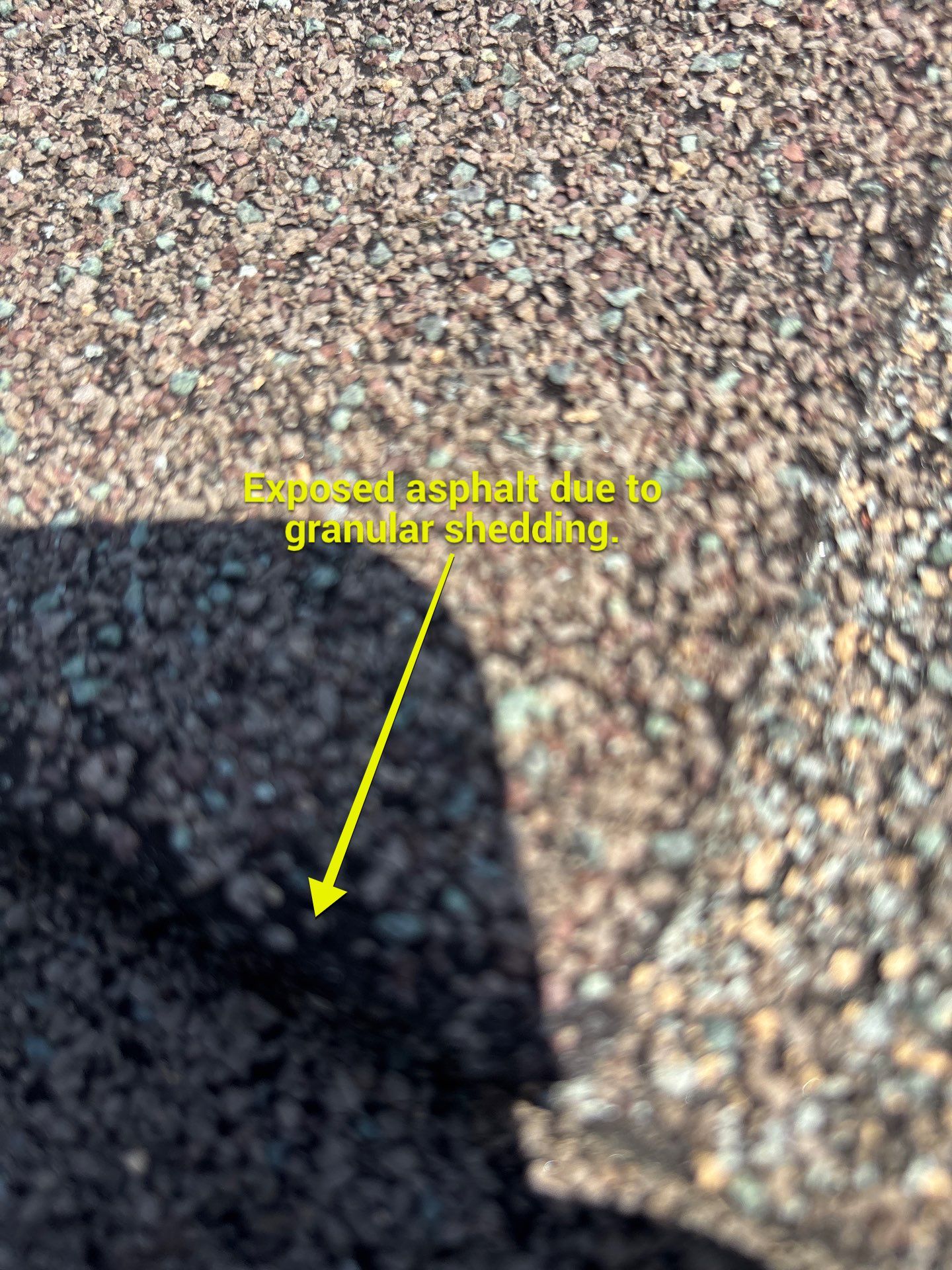 Project in Richmond by Roof Maxx of Midlothian