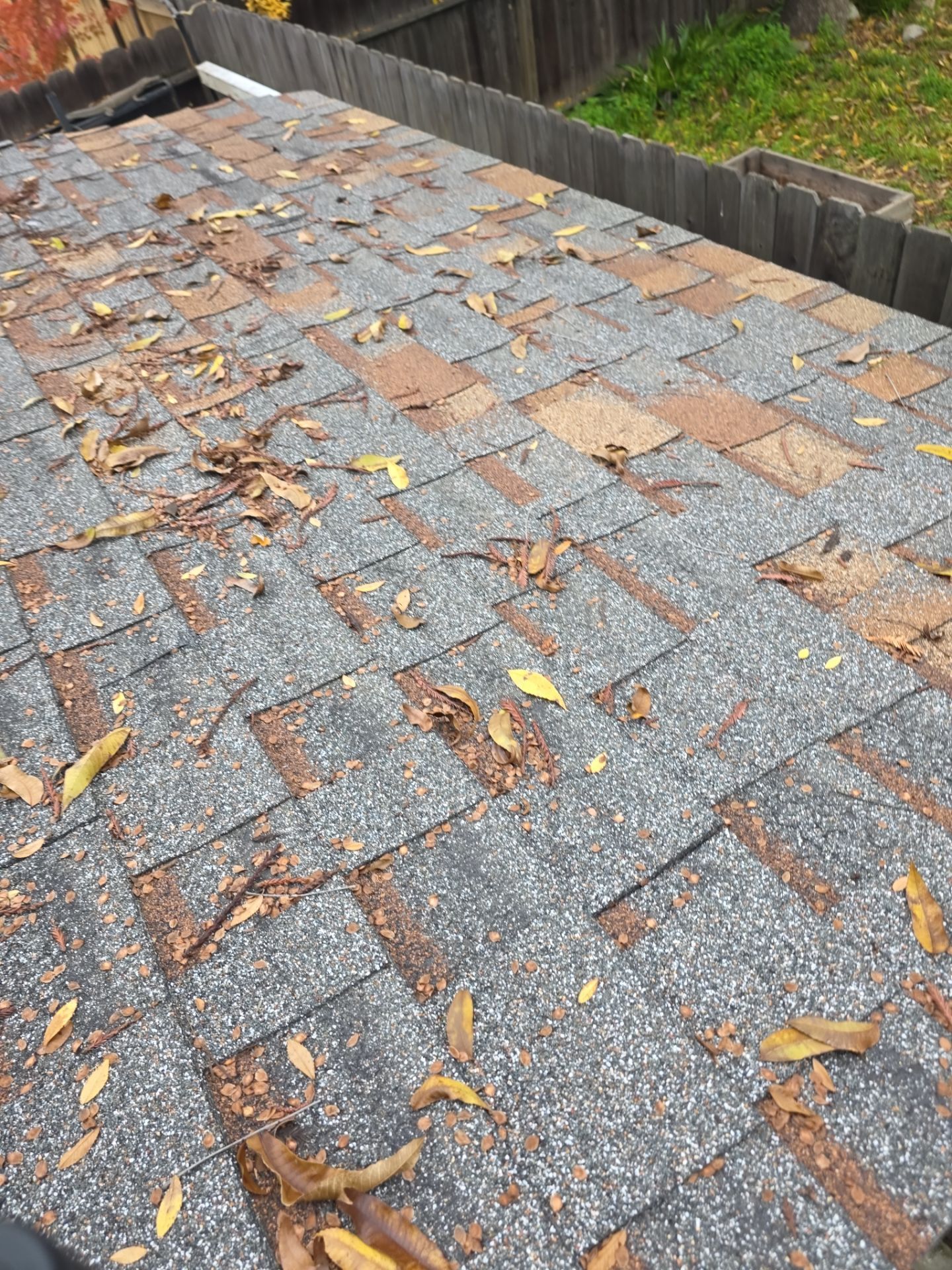 Roof Rejuvenation using Roof Maxx Treatment by Roof Maxx of Folsom