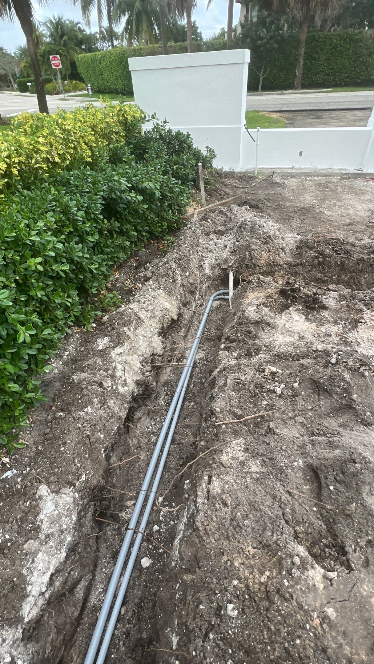 Hazard  by The Landscaping People