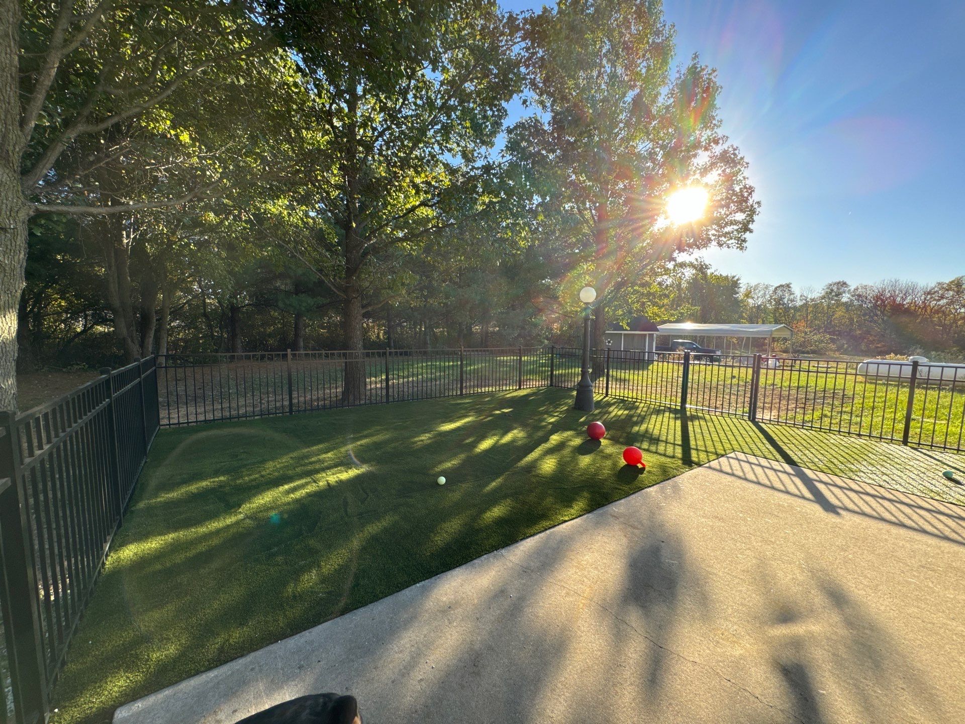 K9Grass in Danville, IN by ForeverLawn NEIN/INDY