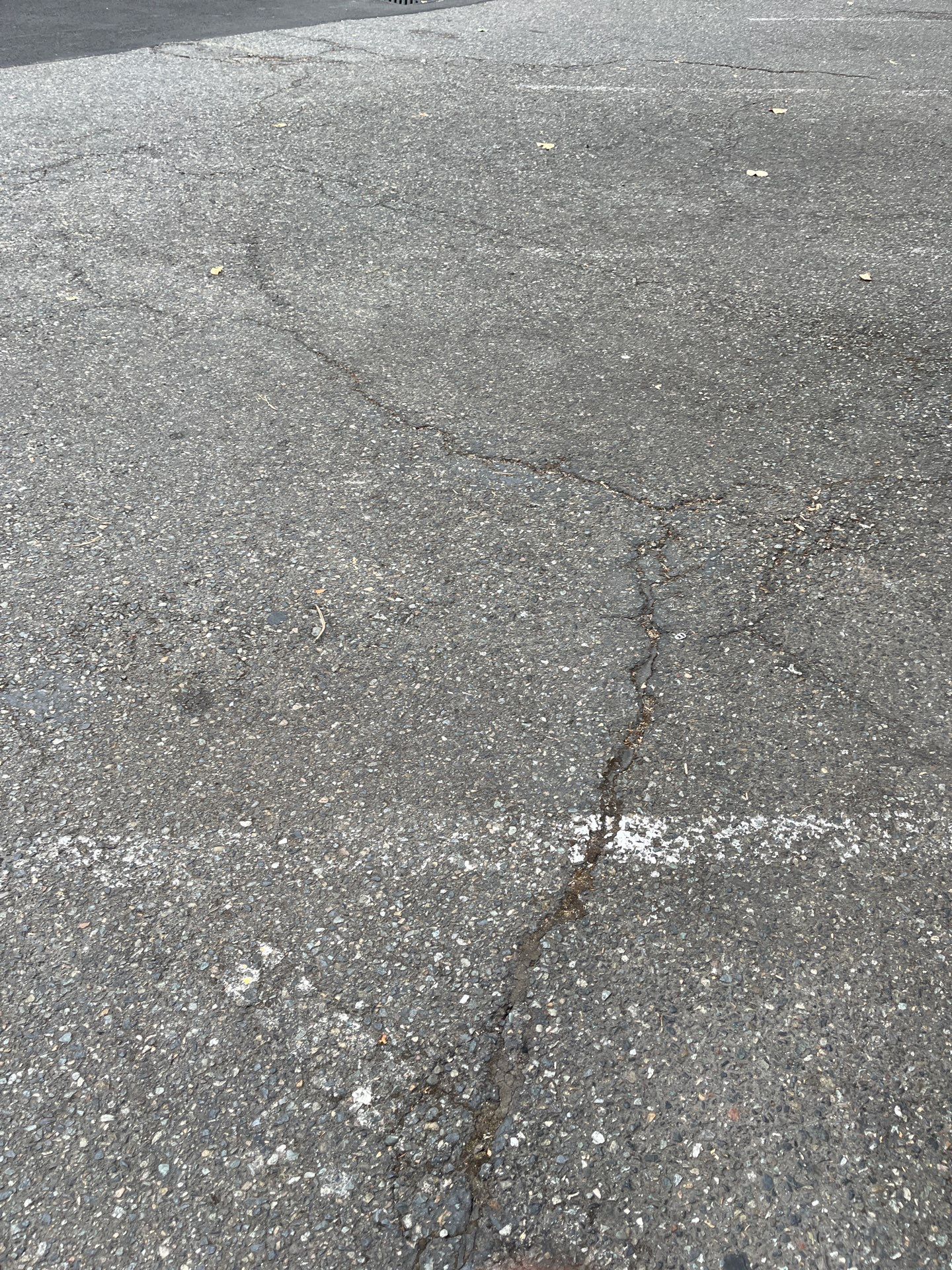 Asphalt Patch Repairs & Sealcoating | Kenmore   by Jireh Asphalt & Concrete Inc 