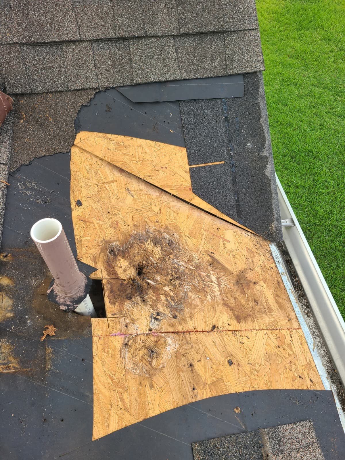 Roof Repair Spring by Roof Repair Company
