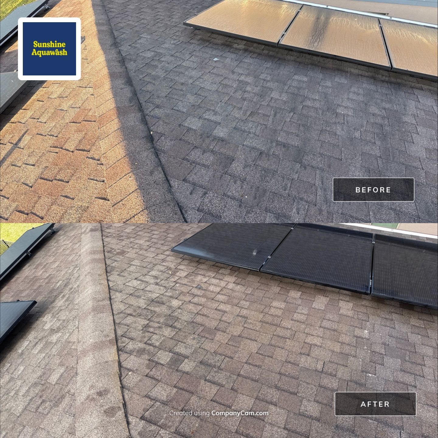 Roof Soft Wash, Pool Deck & Screen Enclosure Cleaning – Trevesta Community, Palmetto, FL by Sunshine AquaWash
