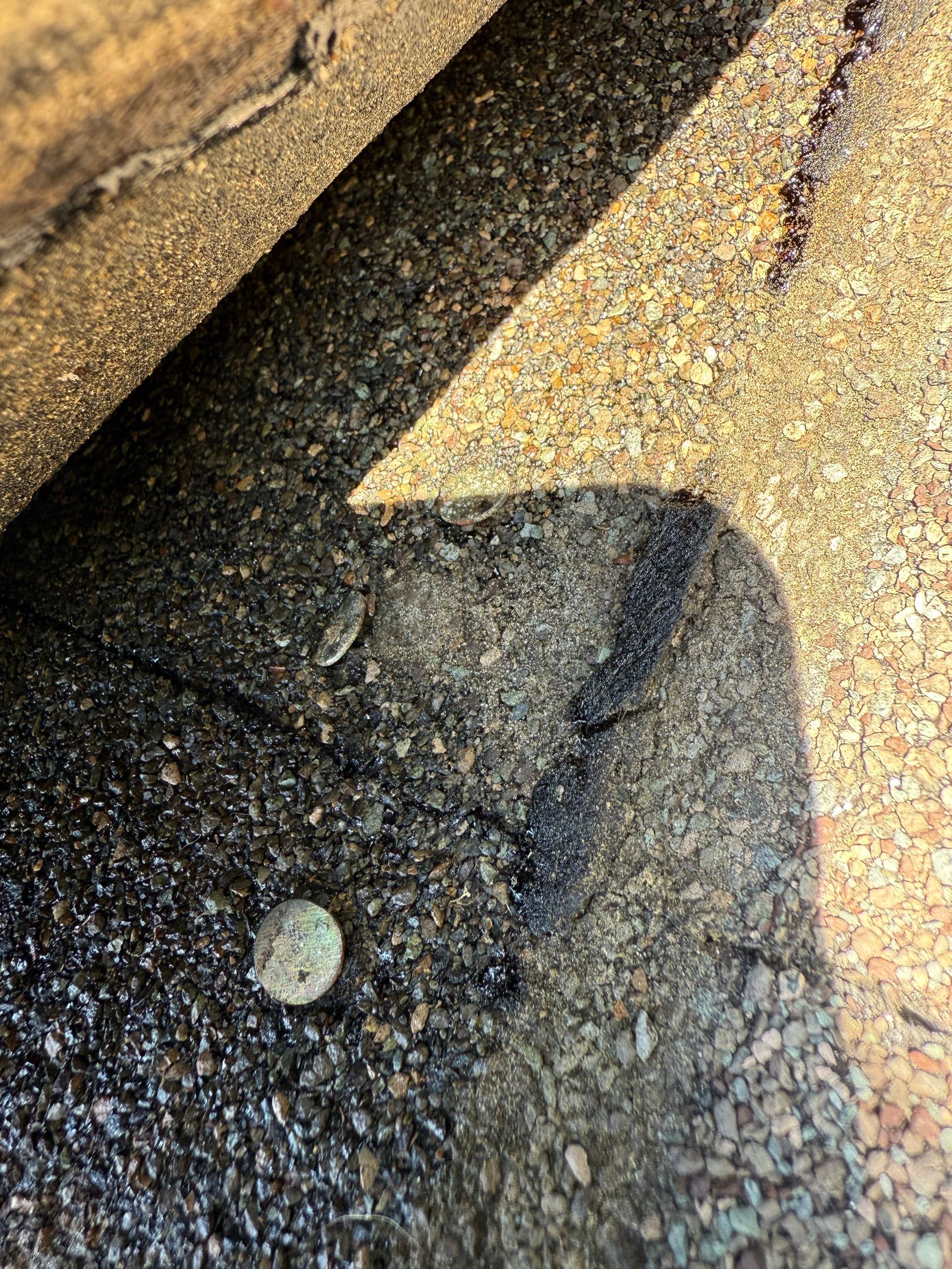 Chimney Flashing, Siding & Roof Leak Repair by Mighty Dog Roofing of Greater Middlesex County
