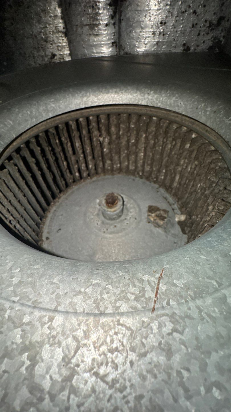 Extremely Dirty Air Duct Cleaning in Fruitland Park by Hygienic Air, Inc