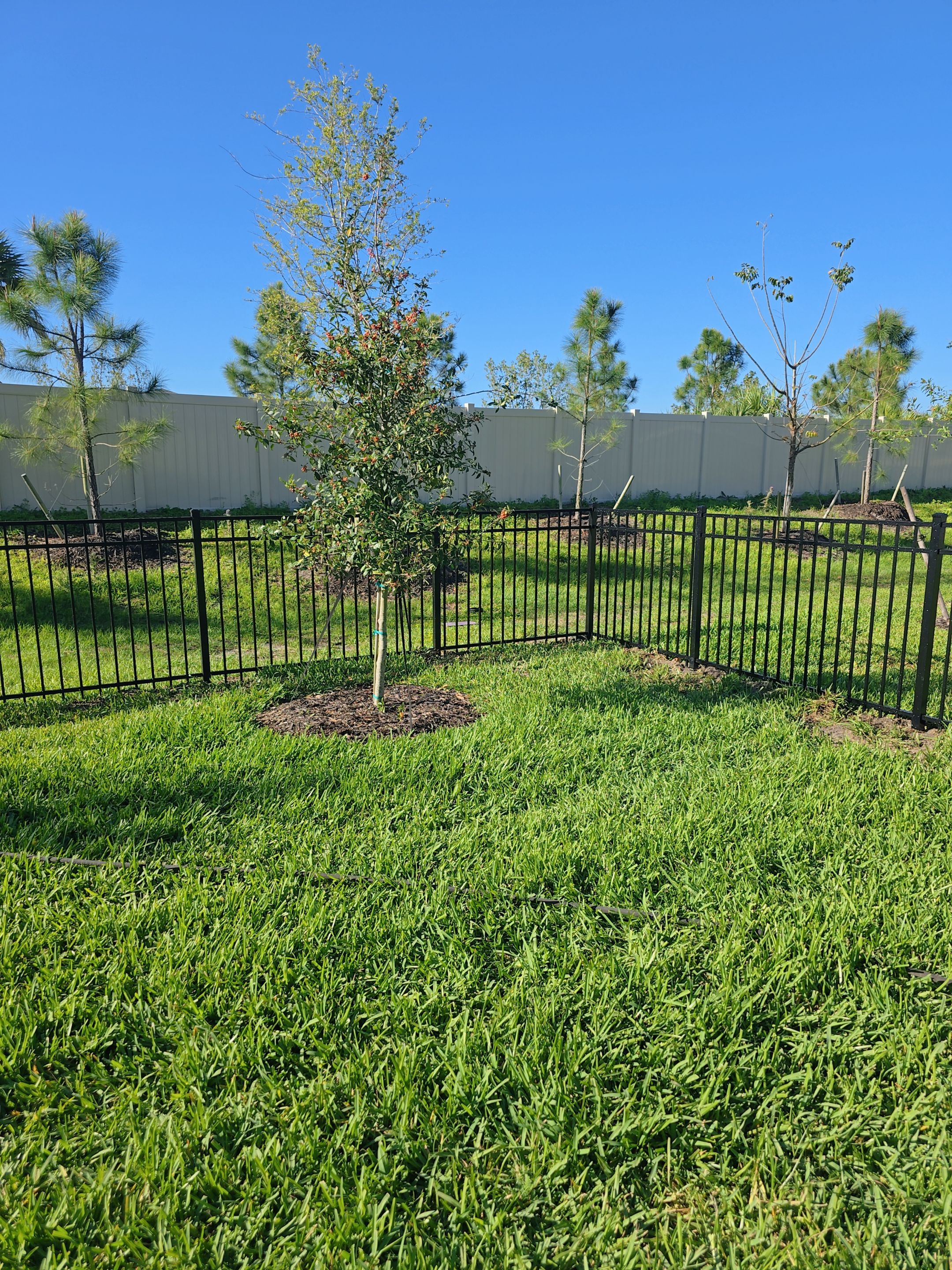 Aluminum Fence in Cove at West Port by True Fence LLC