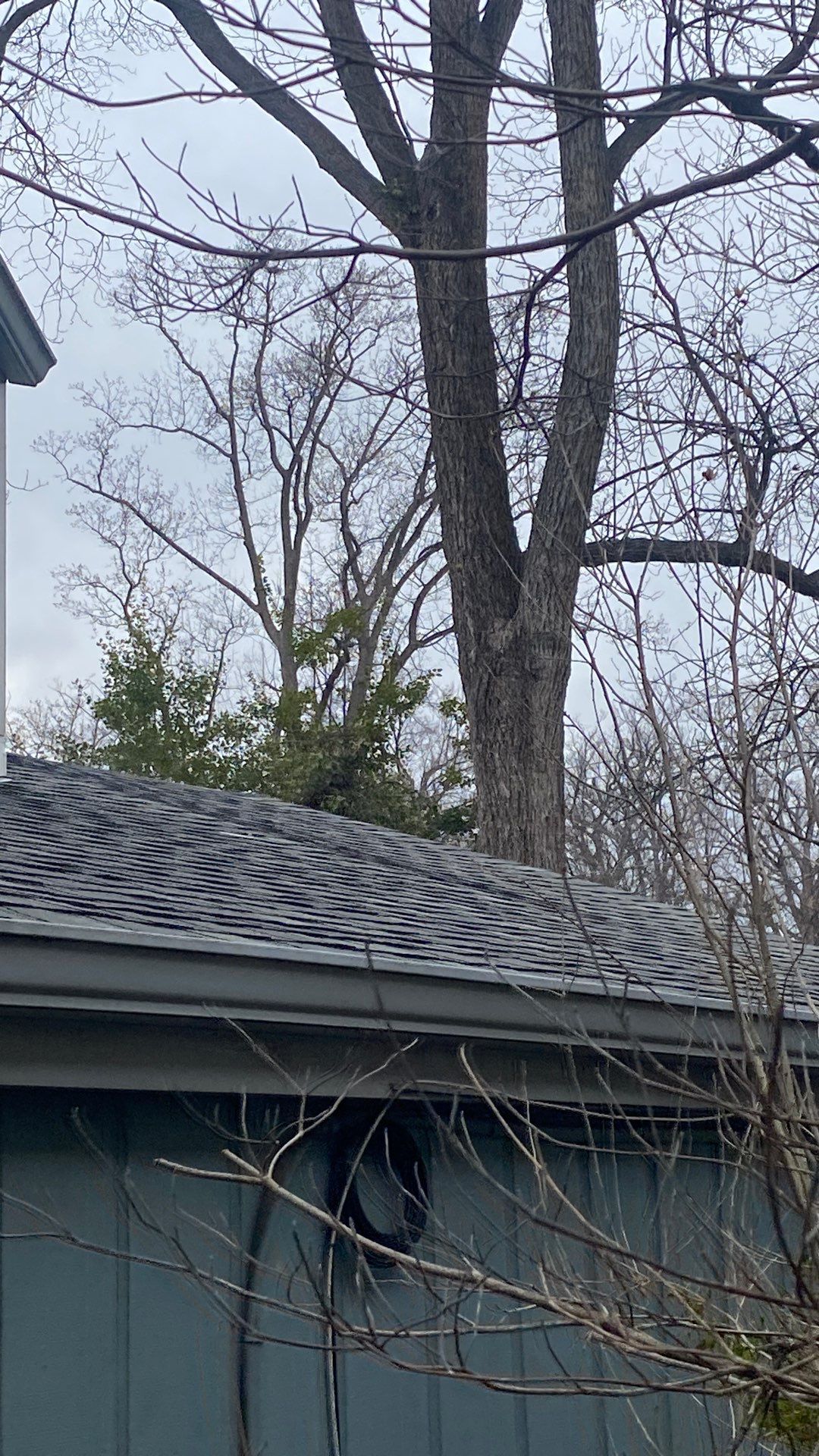 Arlington: Residential Roof Replacement with CertainTeed Landmark Pro in Max Def Georgetown Gray by RM Banning, Inc.