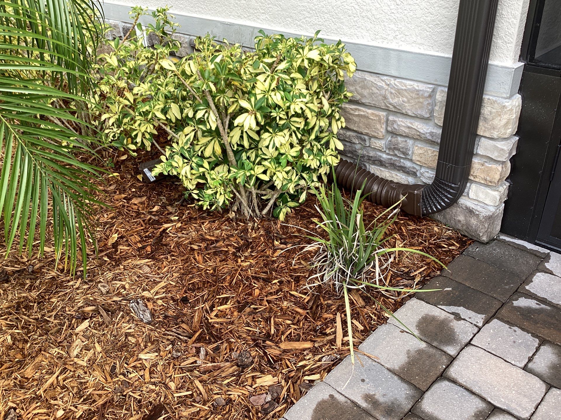 Musket brown seamless gutters with splash guards, new downspouts, and extensions in Bradenton, FL by Gutter Professors