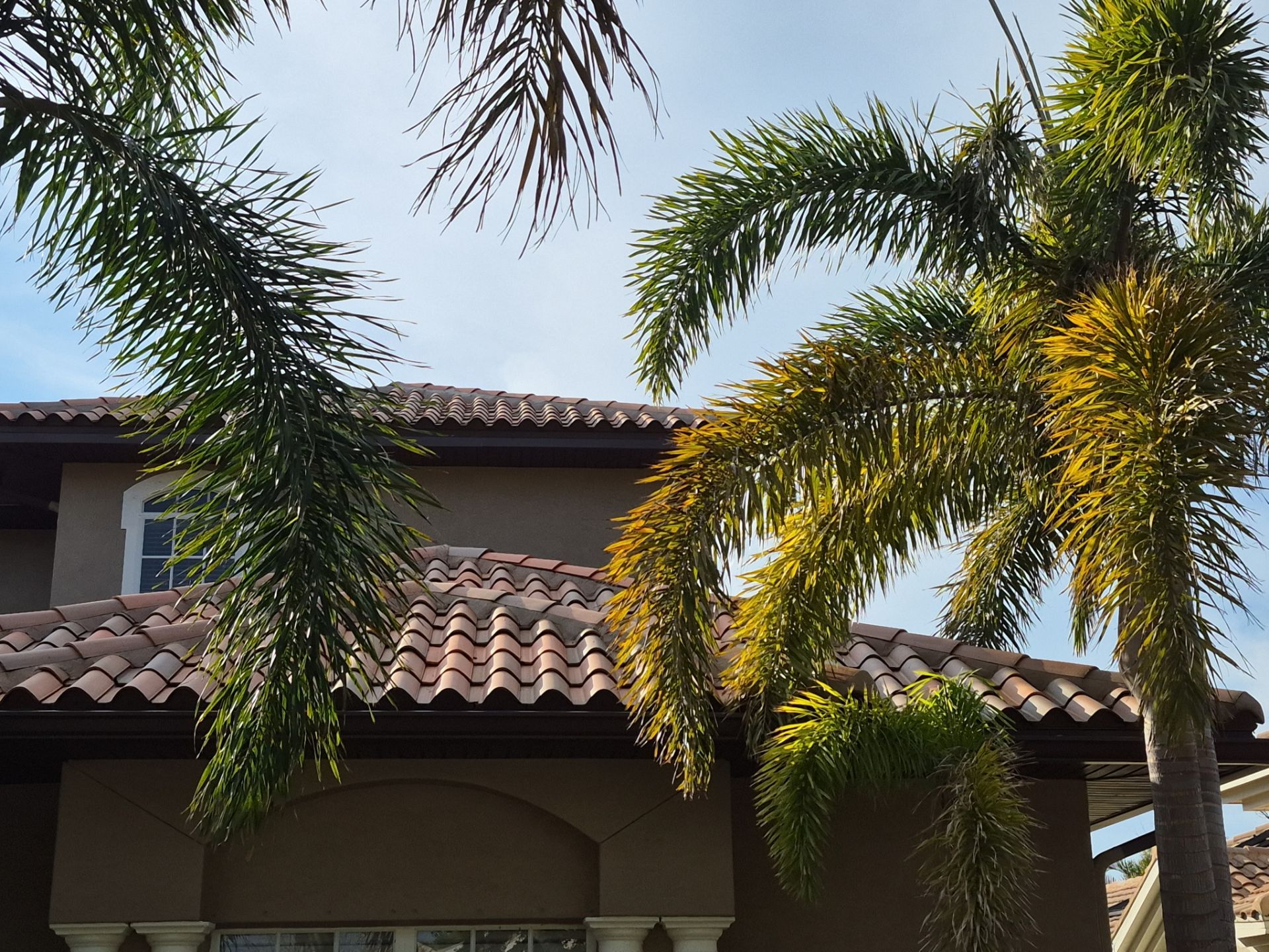 Project in Pinellas Park 33782 by Mitchell Roofing Company LLC