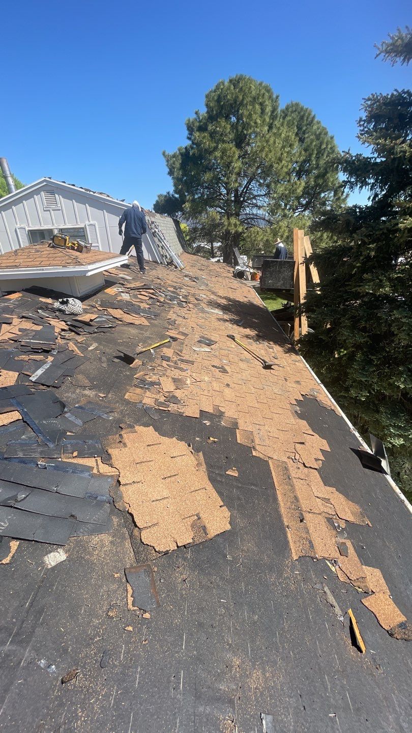 Architectural Shingle Roof Replacement with gutters and downspouts for Edgewood Home by Doyle Roof Masters Inc