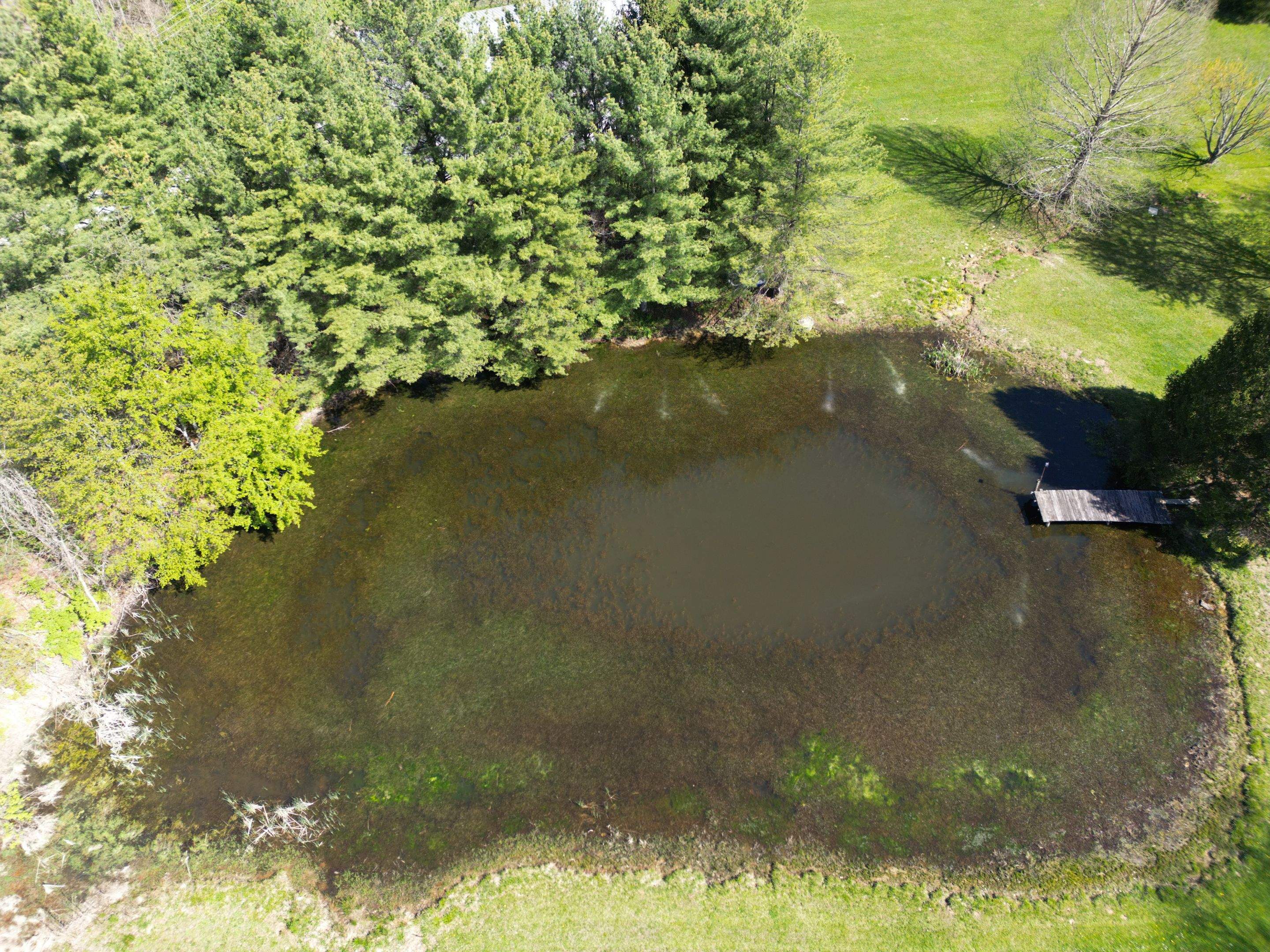 2025P1 by  Bellus Aquatic Solutions