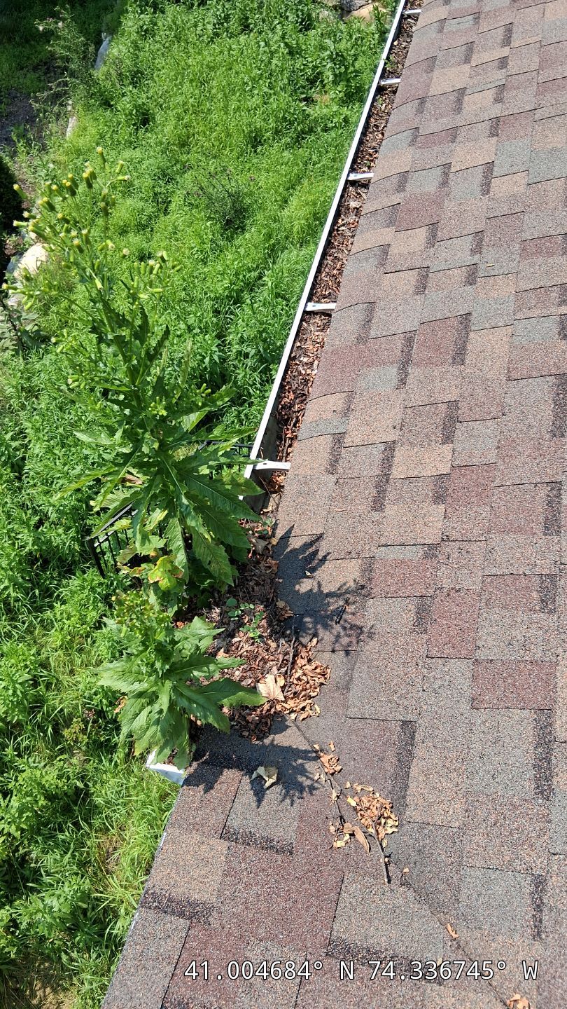 Comprehensive Gutter Cleaning and Debris Removal in Butler by NJ Home Maintenance Services