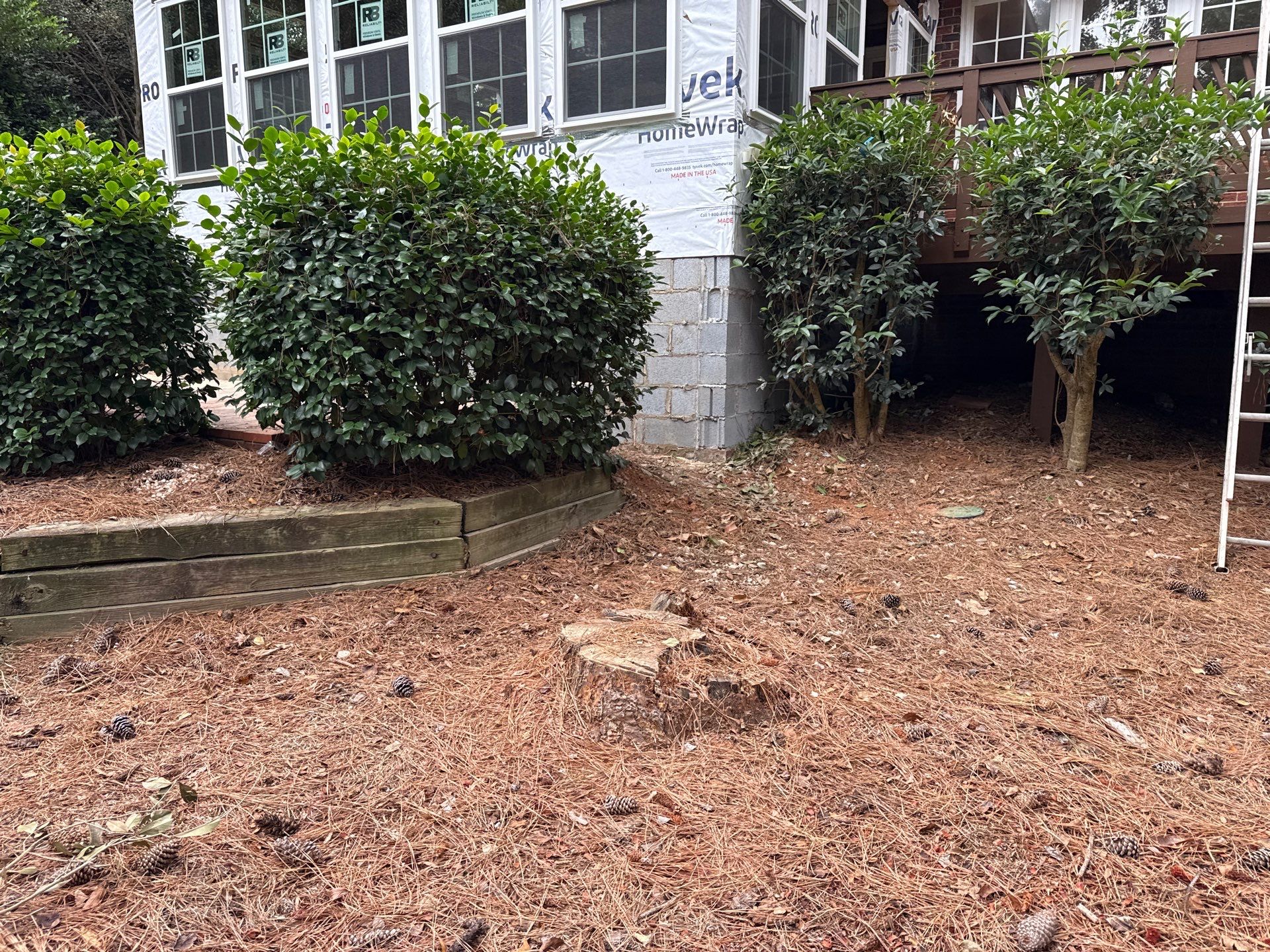 Project in Charlotte by Badger Hauling