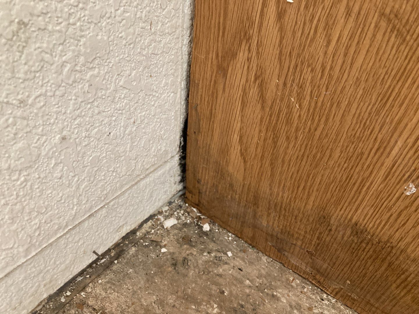 Mold Remediation in Kitchen by Accountable Home Services