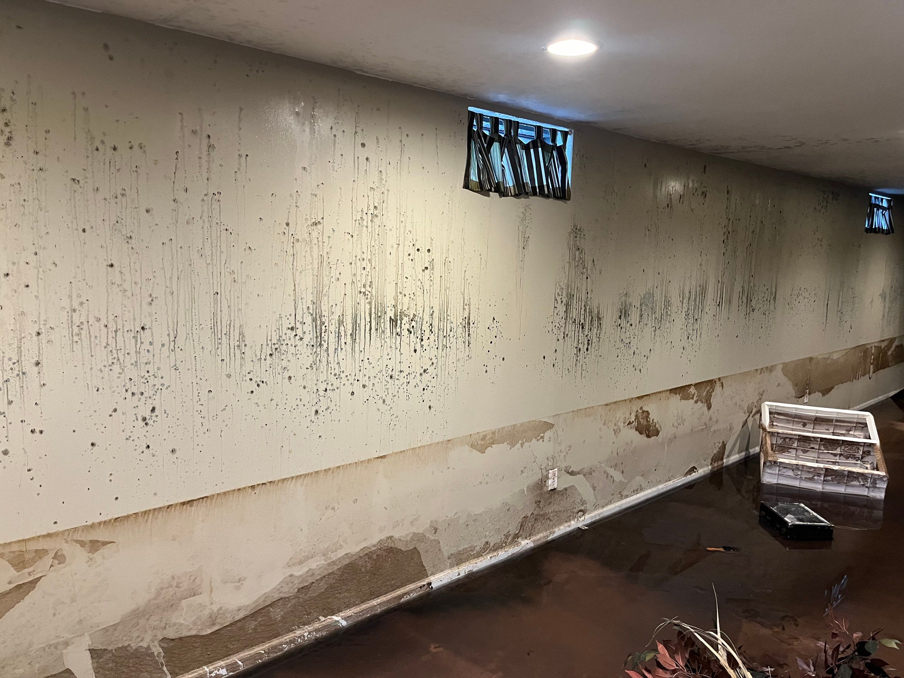 EMS Water Damage and Mold Remediation in Louisville, KY by ANR Restoration