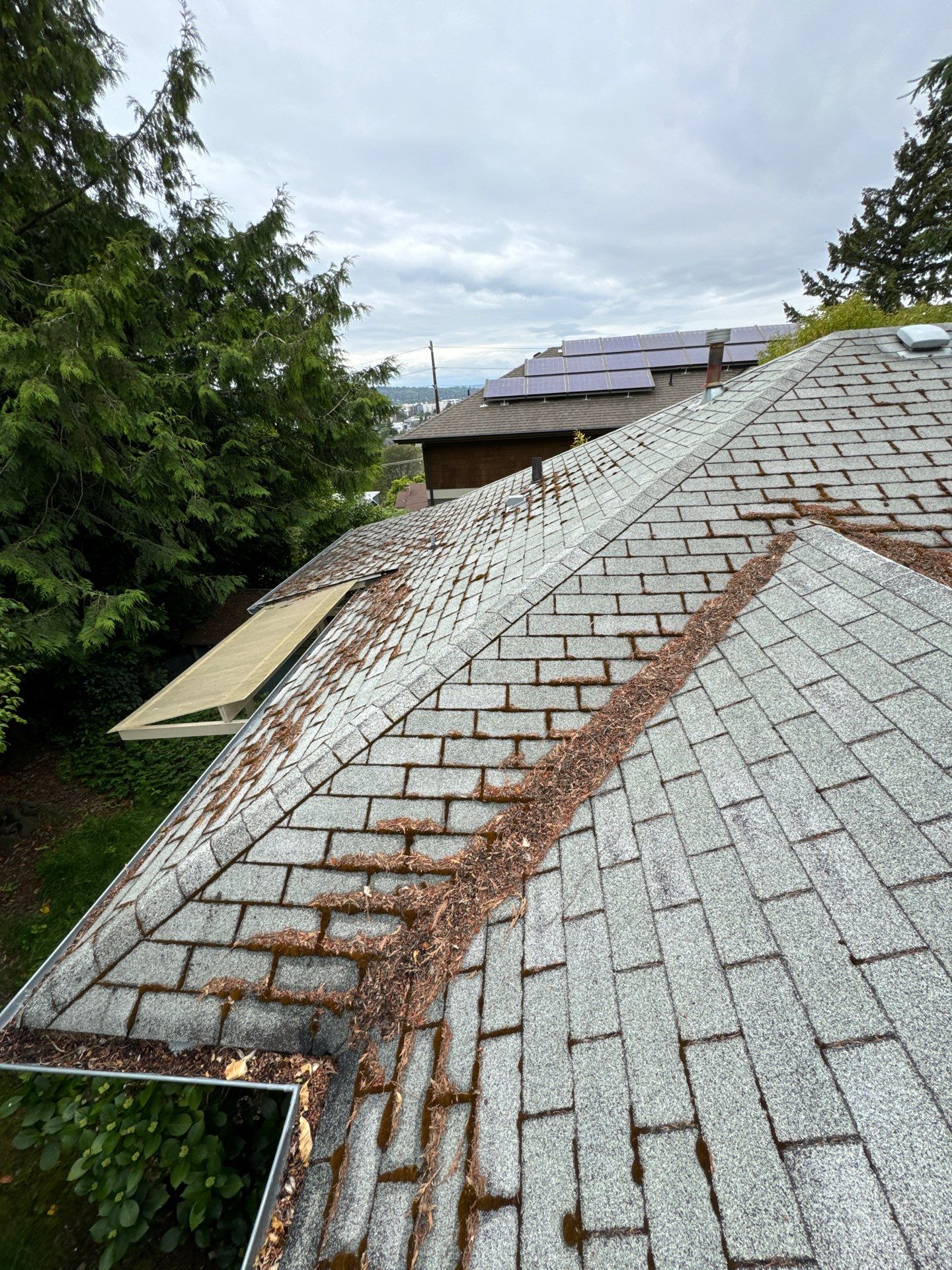 Project in Seattle by Peaks and Valleys Construction