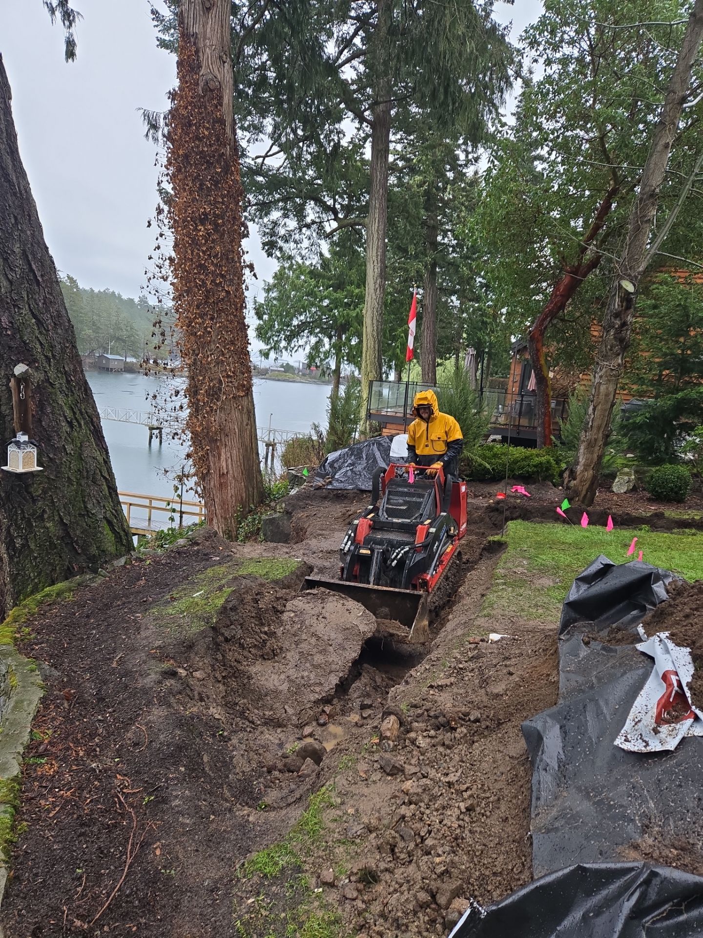 Coastal Landscape Restoration & Retaining Structure - In progress by Habanero Garden and Exterior Care