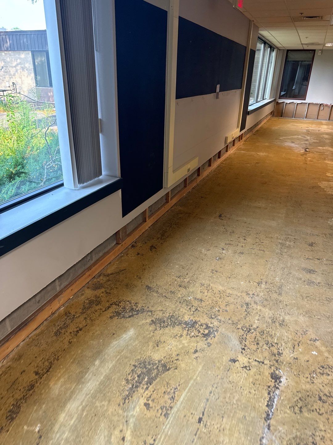 Project in Warren by EzDry Water Mitigation & Property Restoration