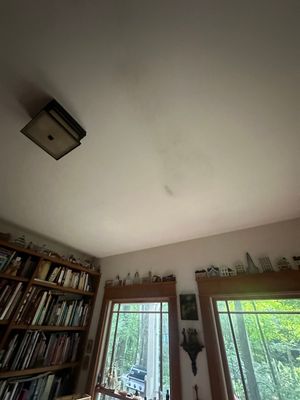 Mold on the office cieling