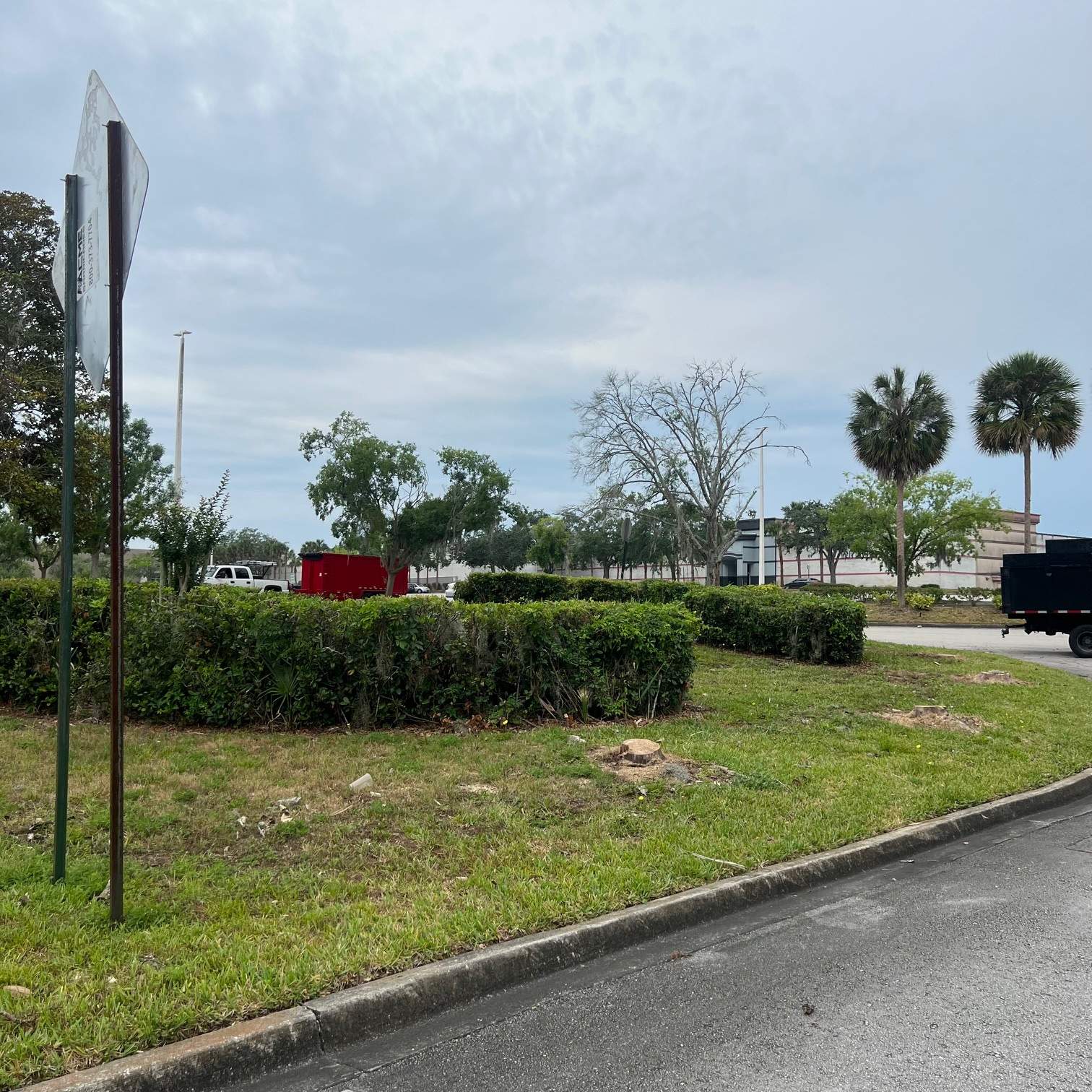 Tree Removal | Avenues Mall by ProGreen Services