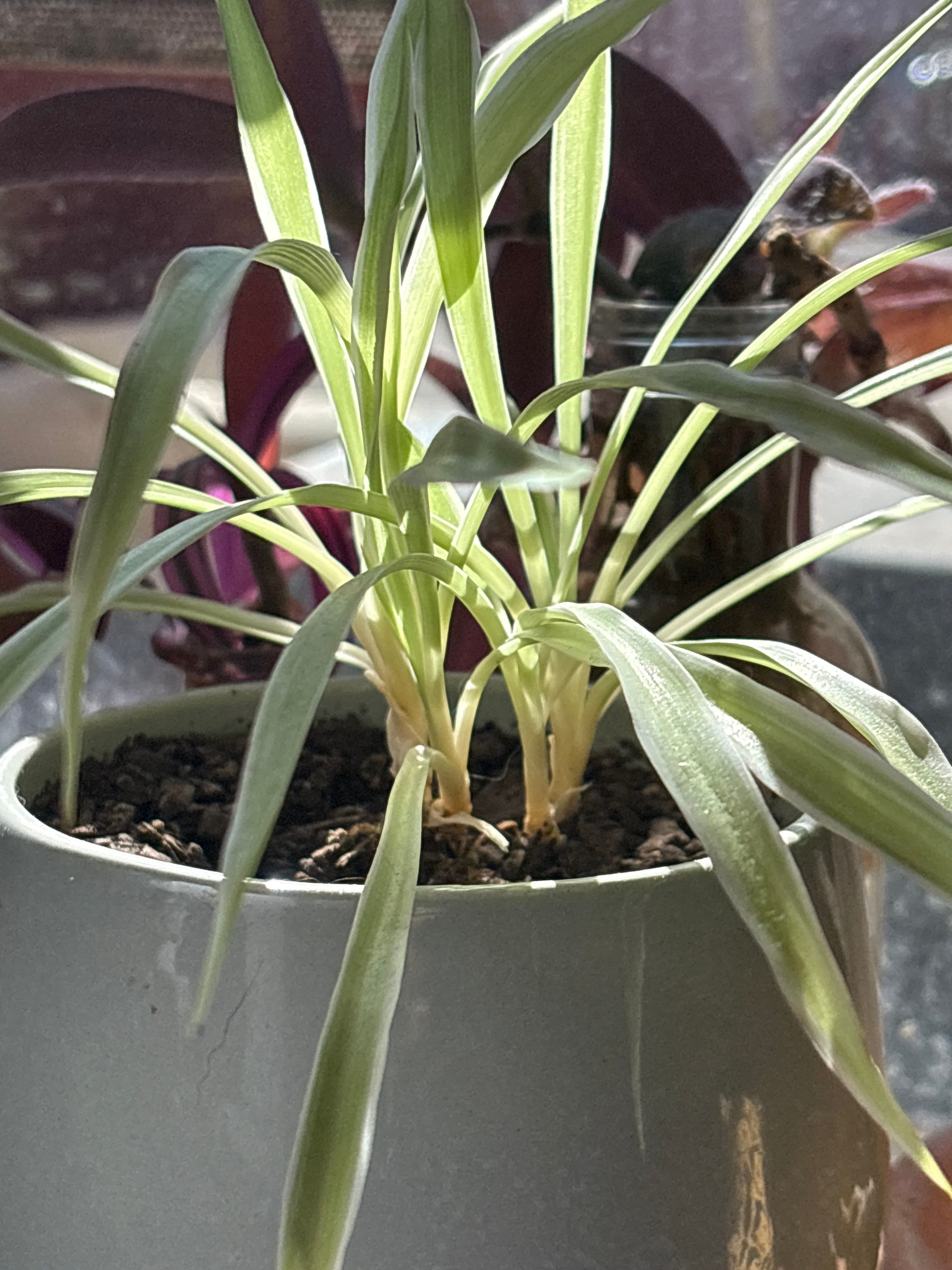 Drew's House by CompanyCam | Account Management Demo Account