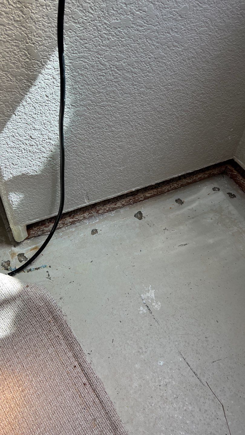 Mold Remediation  by Accountable Home Services