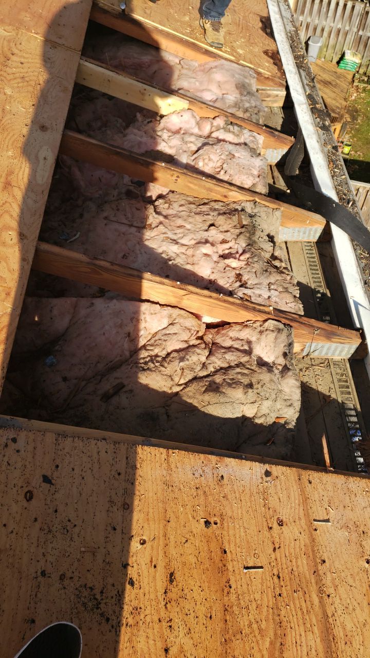 Springfield: CertainTeed Landmark Pro Designer Shingles in Max Def Pewterwood by RM Banning, Inc.