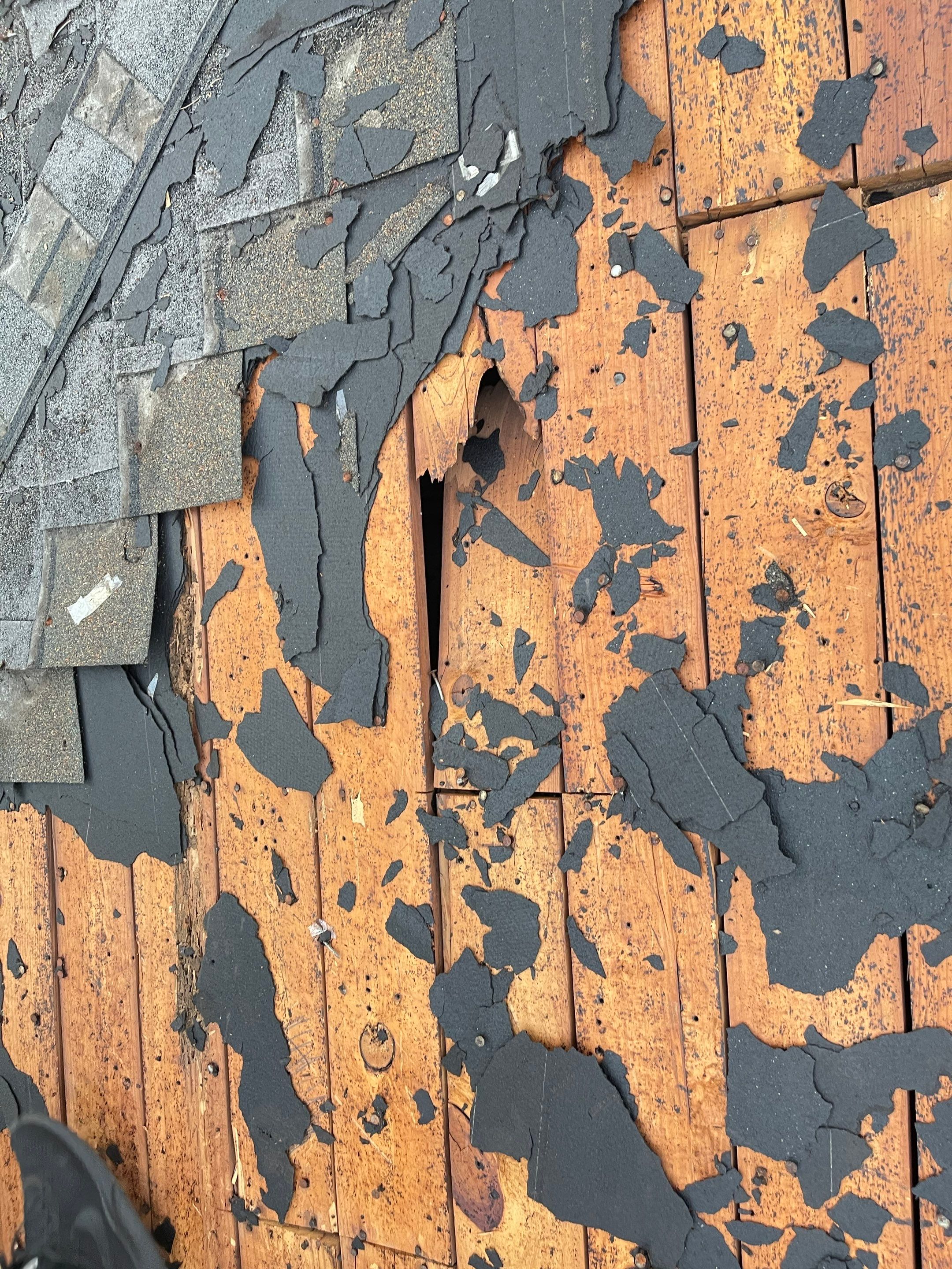 Residential Roofing Installation using Atlas Pinnacle® Pristine Pewter by CAP Roofing and Construction LLC