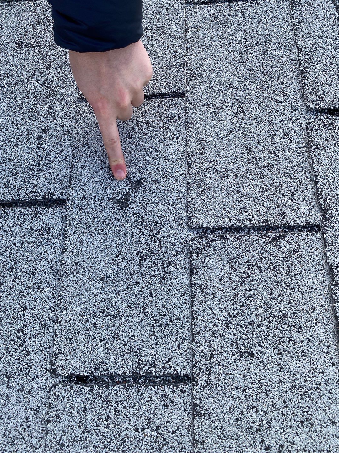 James Full Re-Roof + Shed by All Storm Roofing & Construction
