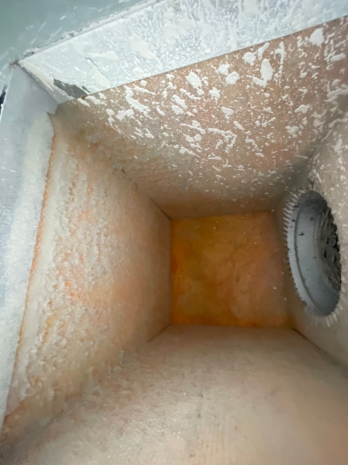 Air Duct Cleaning in Bartow by Hygienic Air, Inc