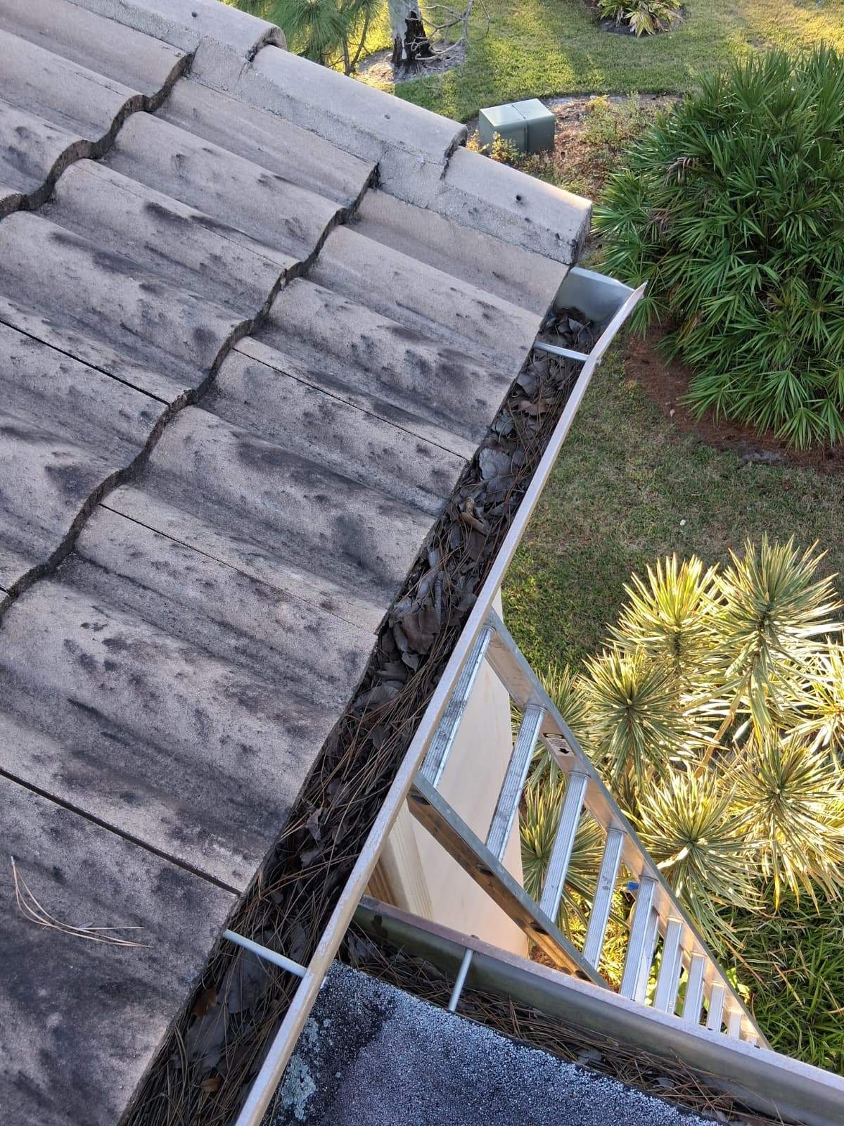 Gutter Cleaning Service in Sarasota FL by Gutter Professors