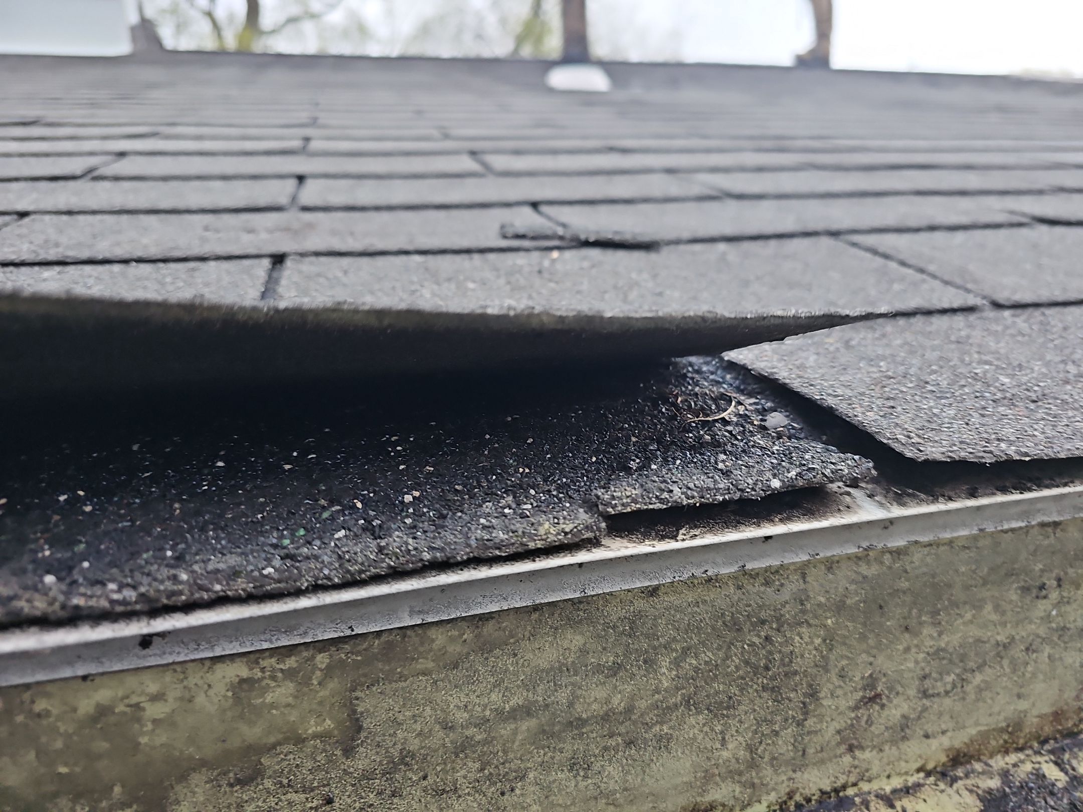 ATLAS PINNACLE COLOR: HEARTHSTONE by Eagle Eye Roofing