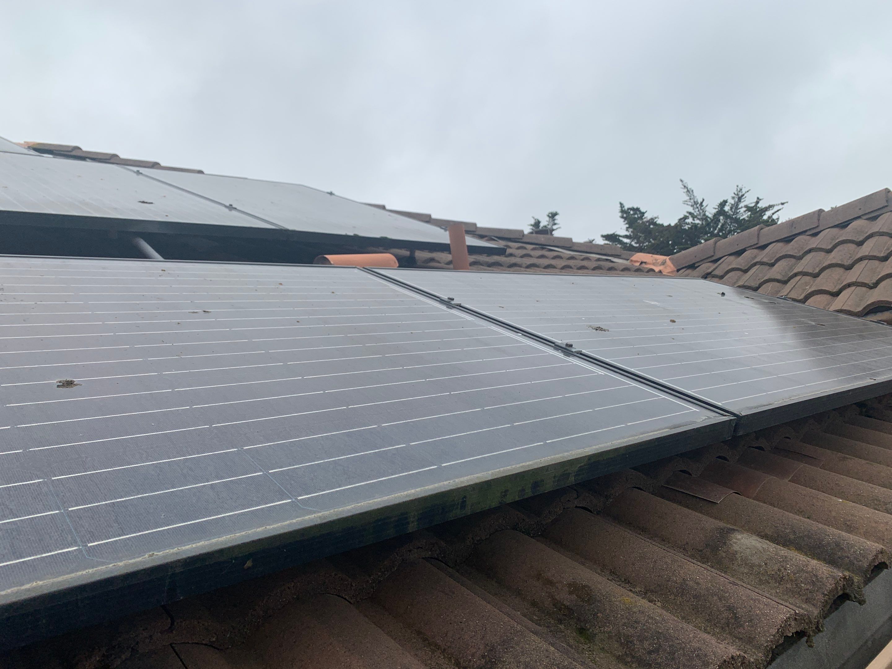 Rahul Prasad by SpotFree Window Cleaning