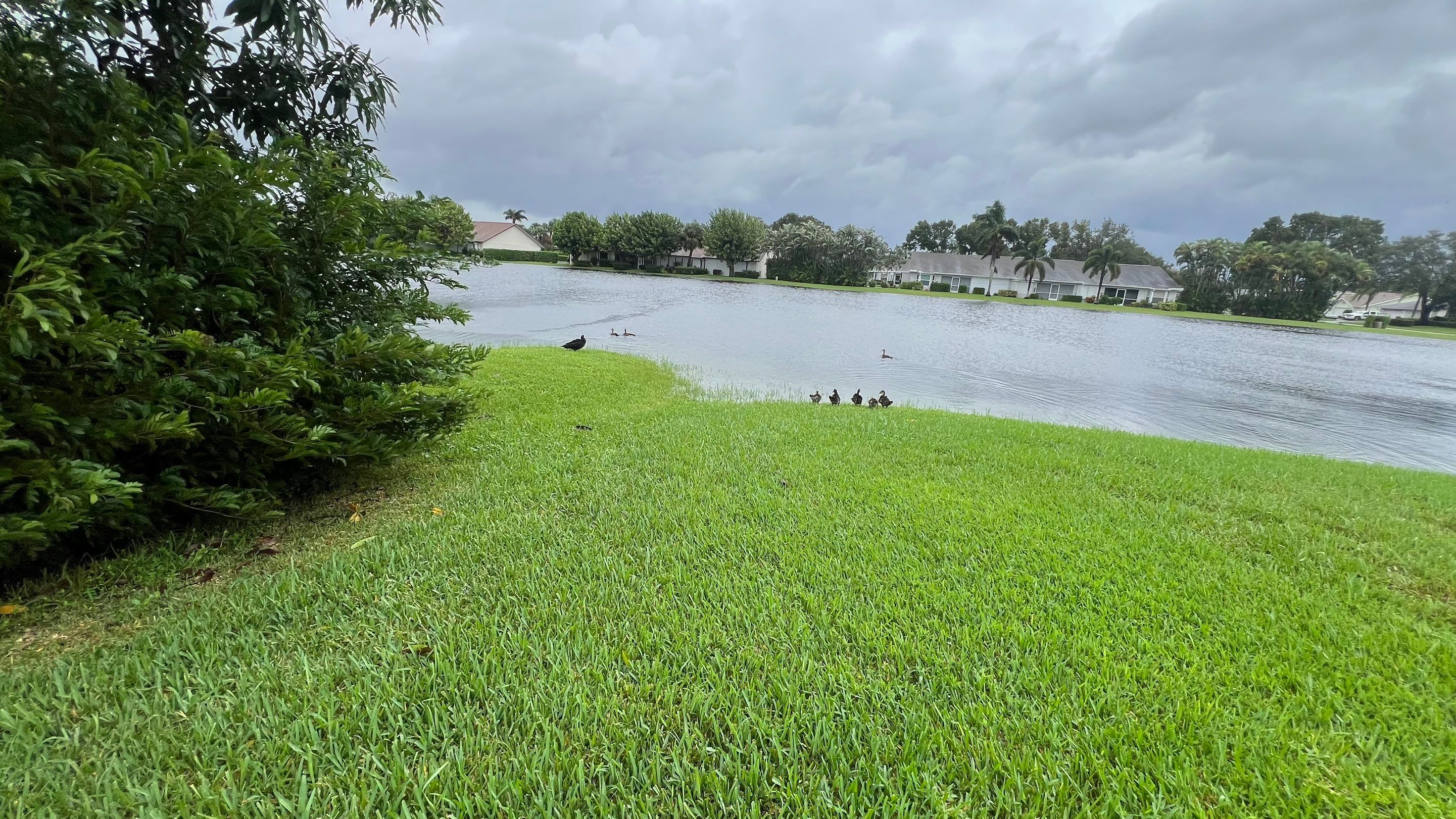 Naples Community Stormwater Blockage by APS Power & Water