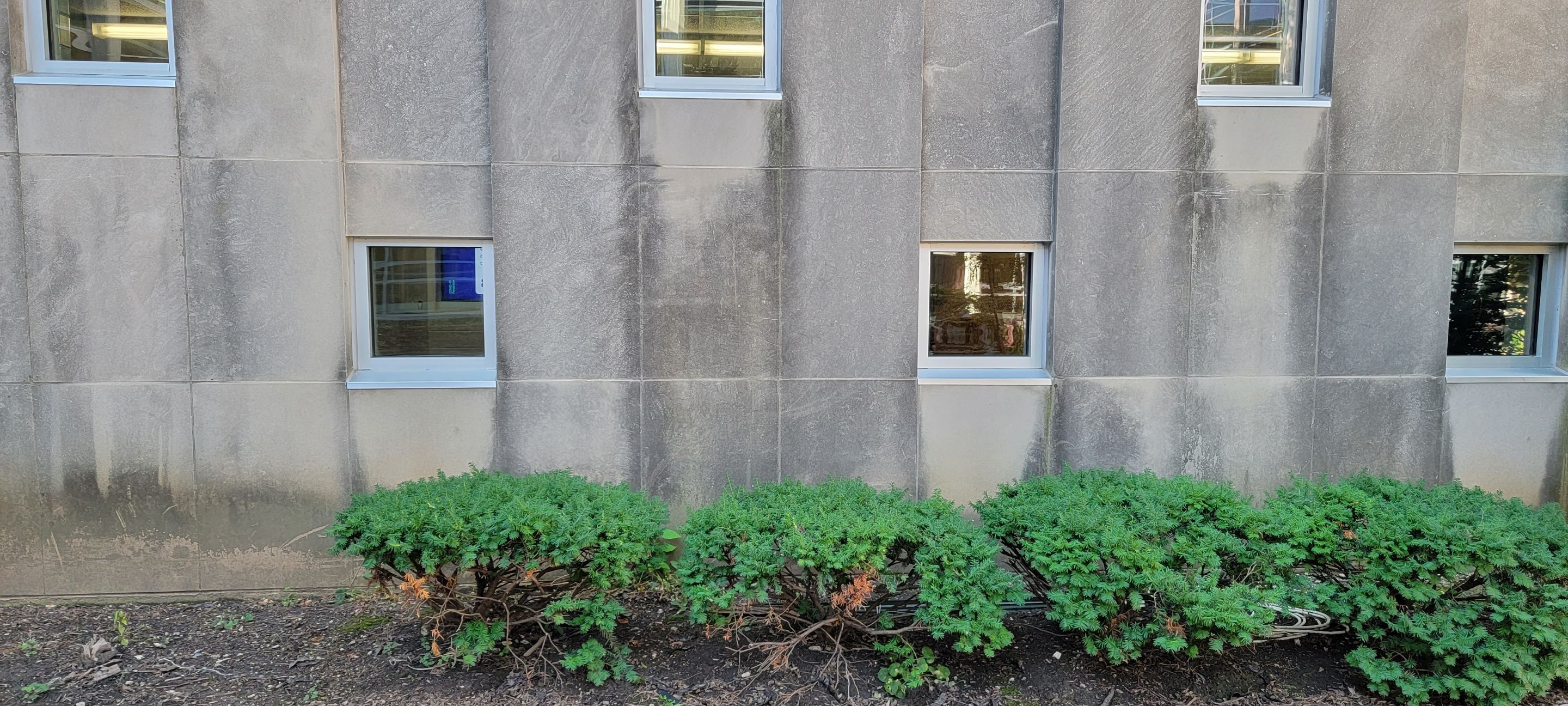 Courtyard pressure washing difficult access.  by Northern Power Washing LLC.