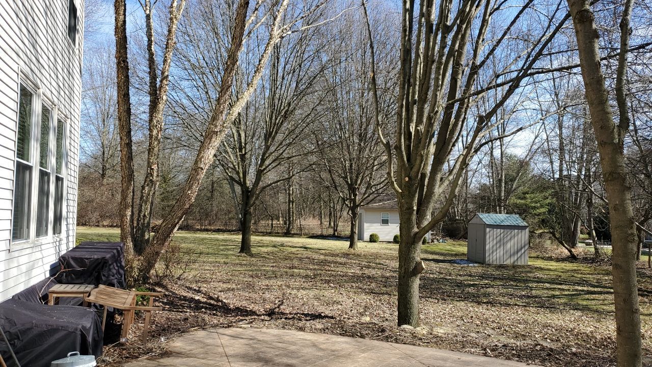 Tree Removal using Tree Removal by Mike Jones & Sons Tree Service LLC 