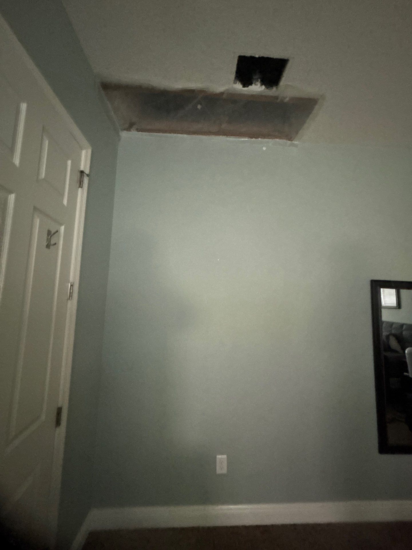Mold Removal and treatment in Brandon, Florida by Ampm Restoration Services