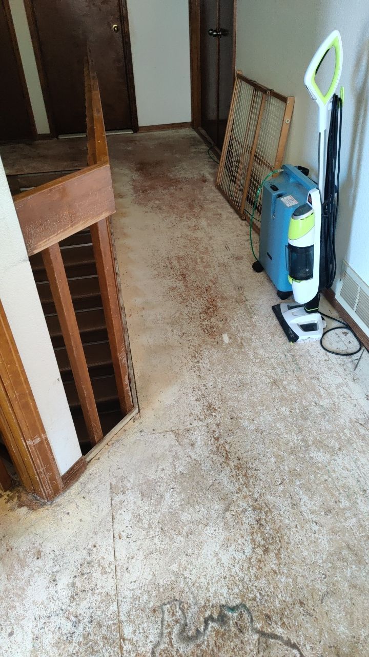 Water Damage  by Accountable Home Services