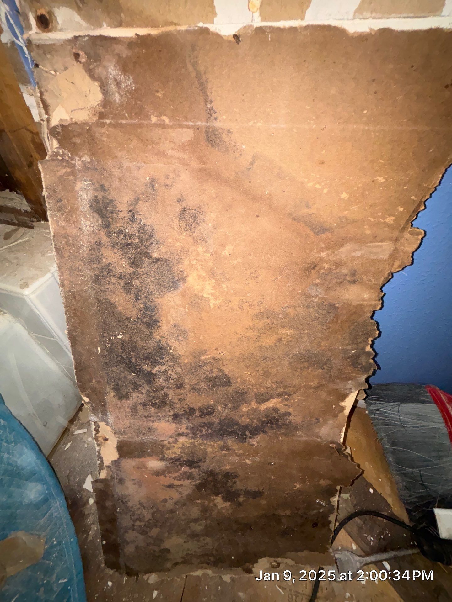 Water Damage Repair In Sarasota by Ampm Restoration Services