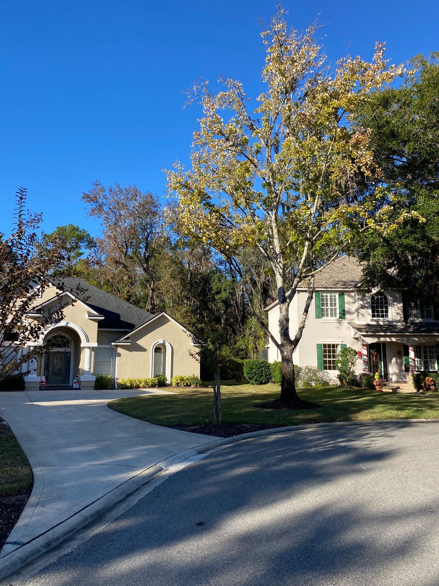 Residential | Tree Service by ProGreen Services
