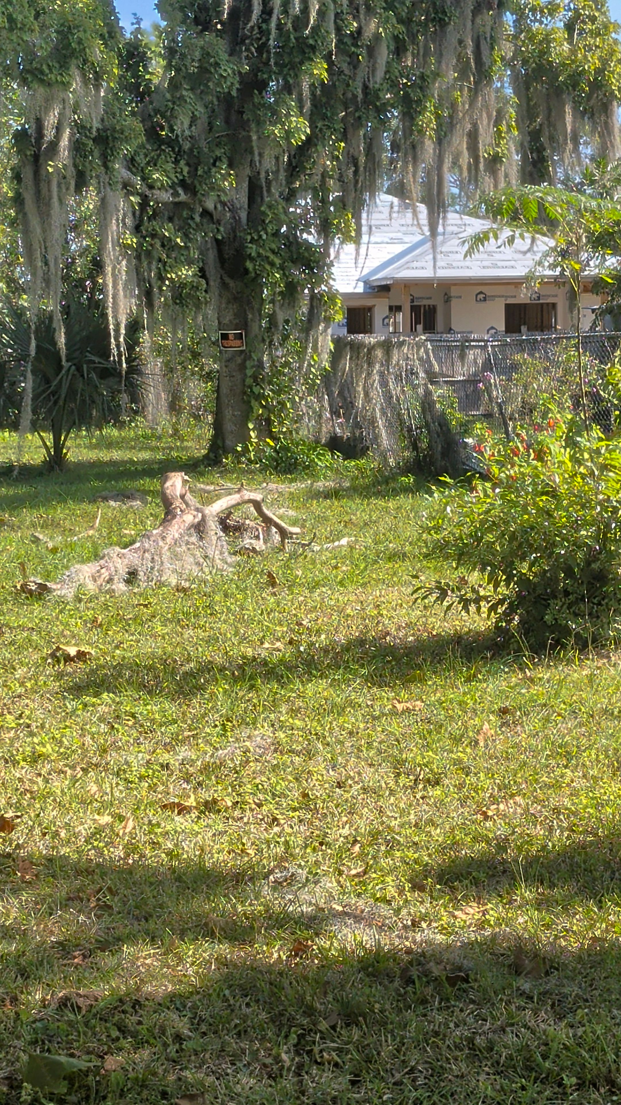 Vacant Lot Cleanup & Ongoing Maintenance — Northside Jacksonville (32219) by Harmoni Home Services
