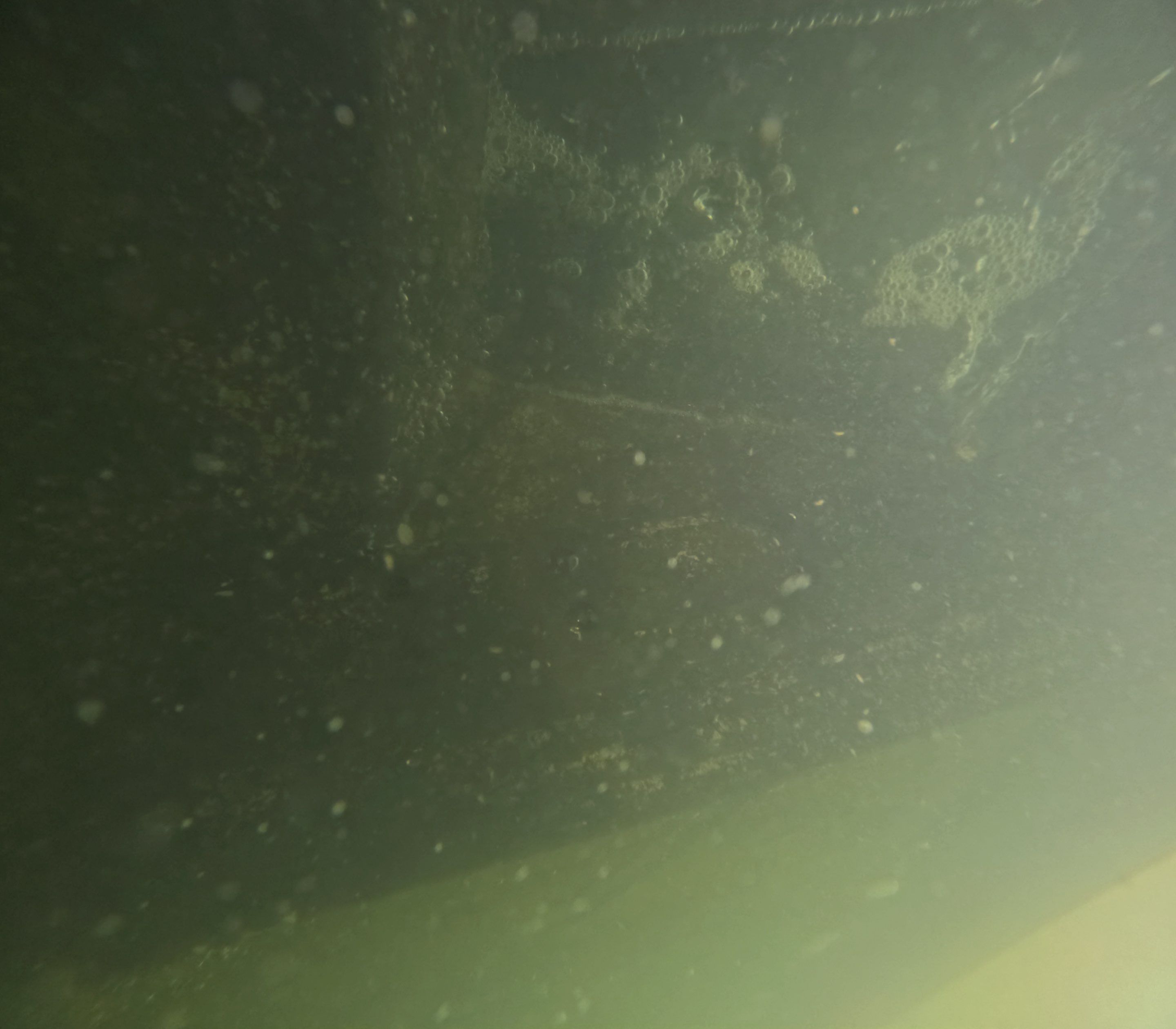 Project in Marco island, FL by Florida Hull Cleaning 