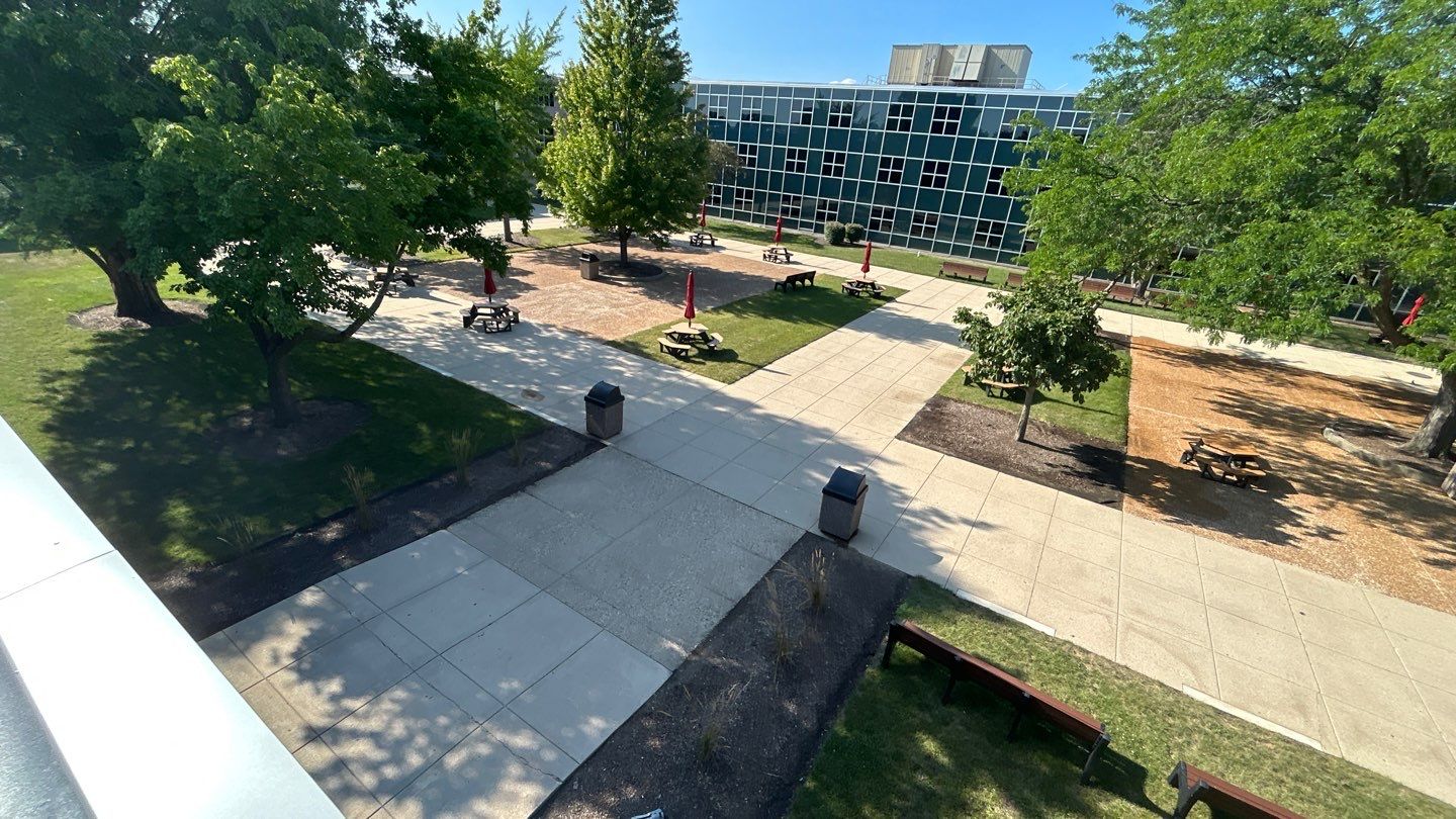 concrete using Algaecide, soft wash soap by Northern Power Washing LLC.